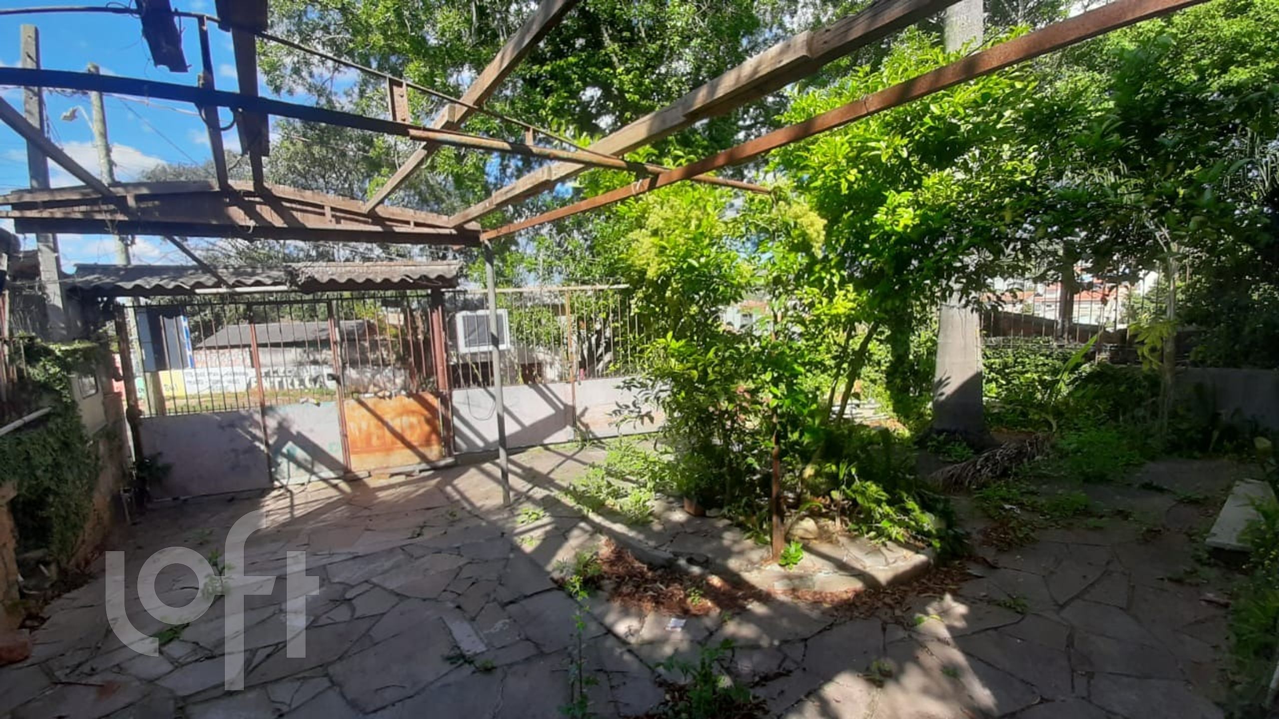 Imagem da propriedade 6