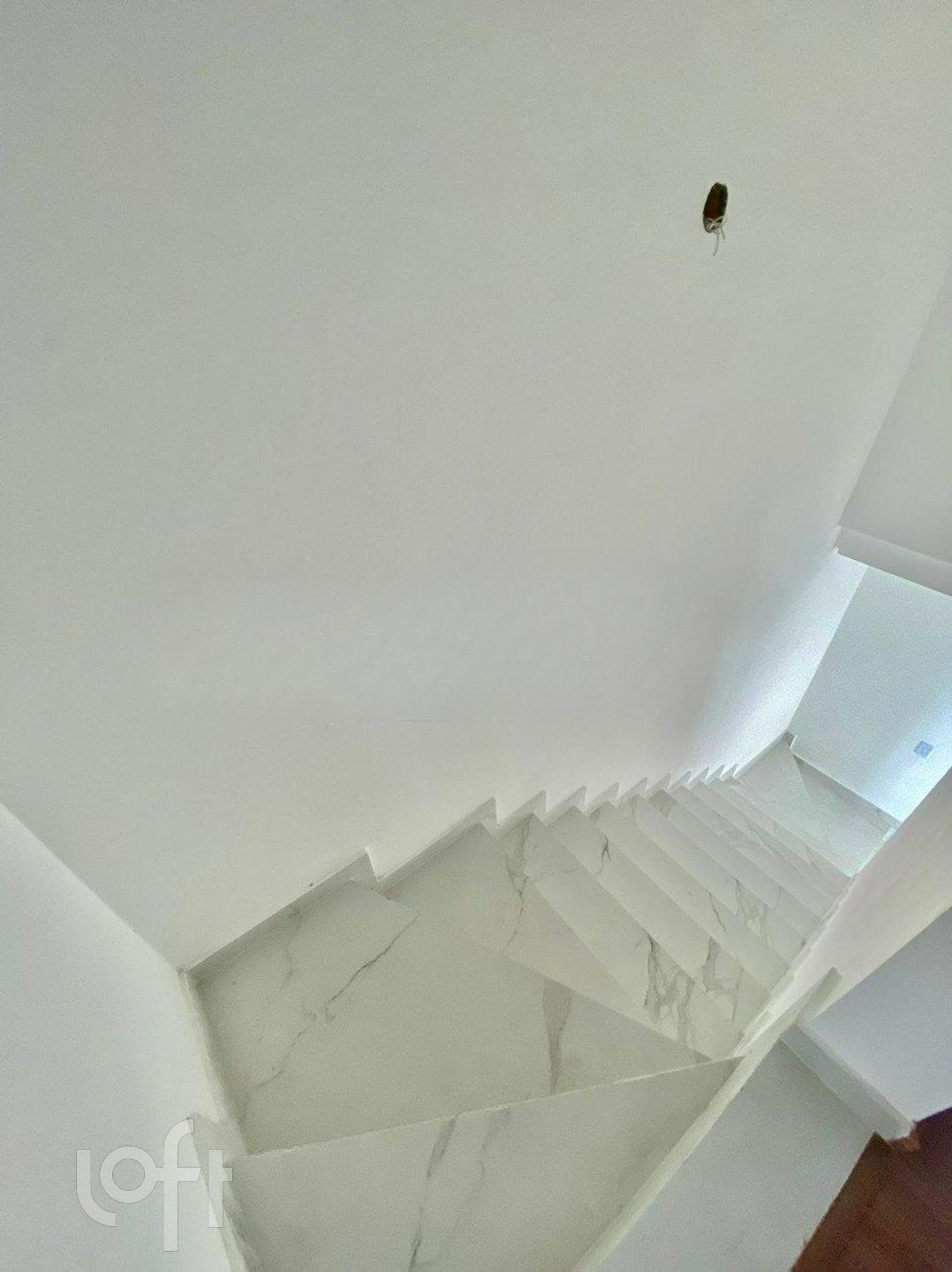 Imagem da propriedade 14