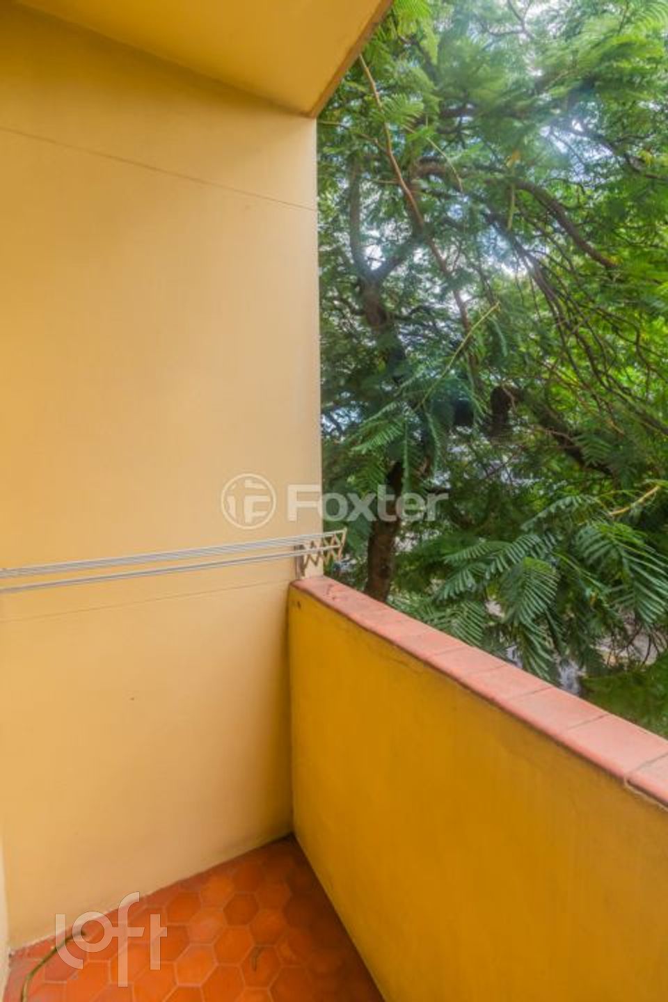 Imagem da propriedade 6