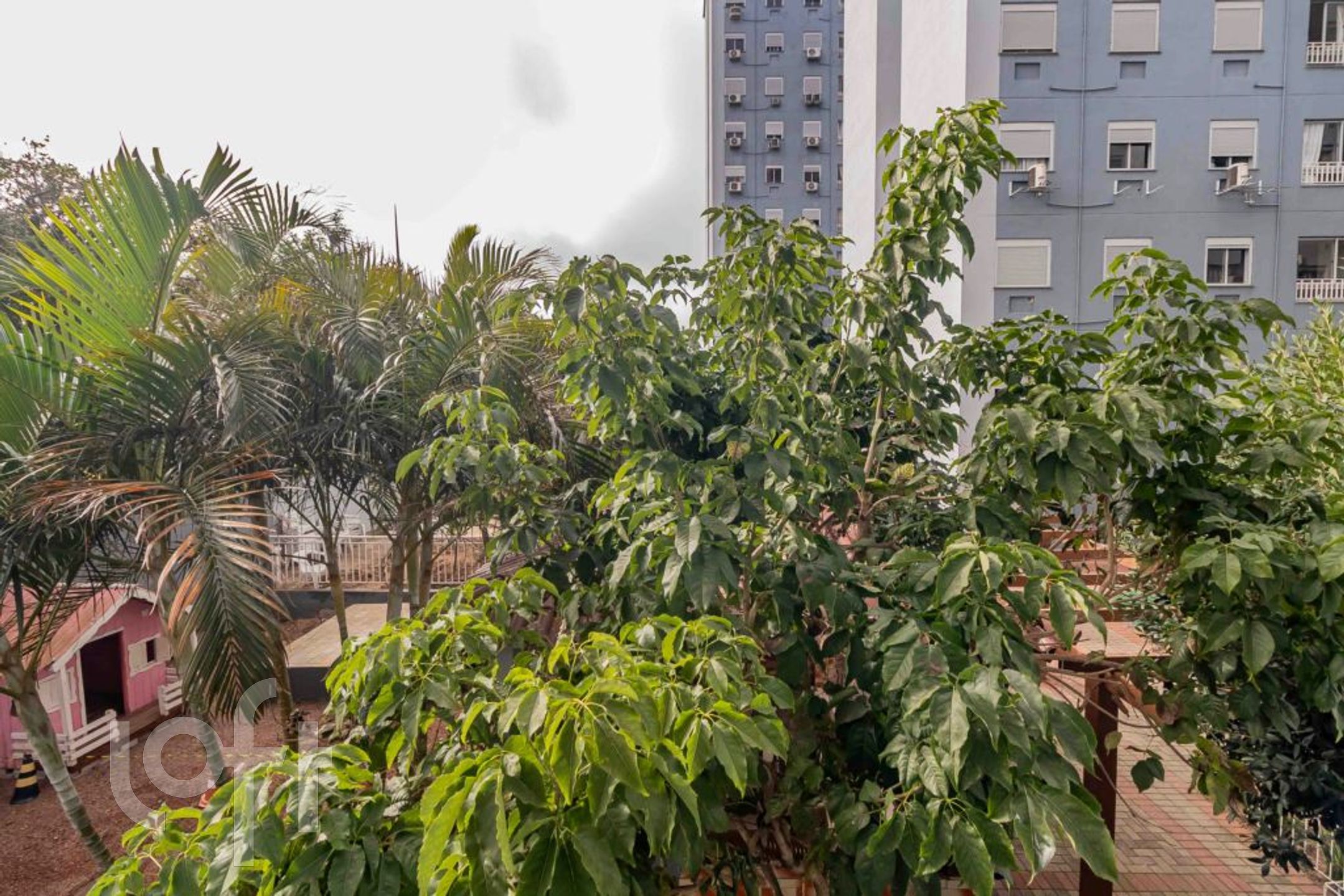 Imagem da propriedade 17