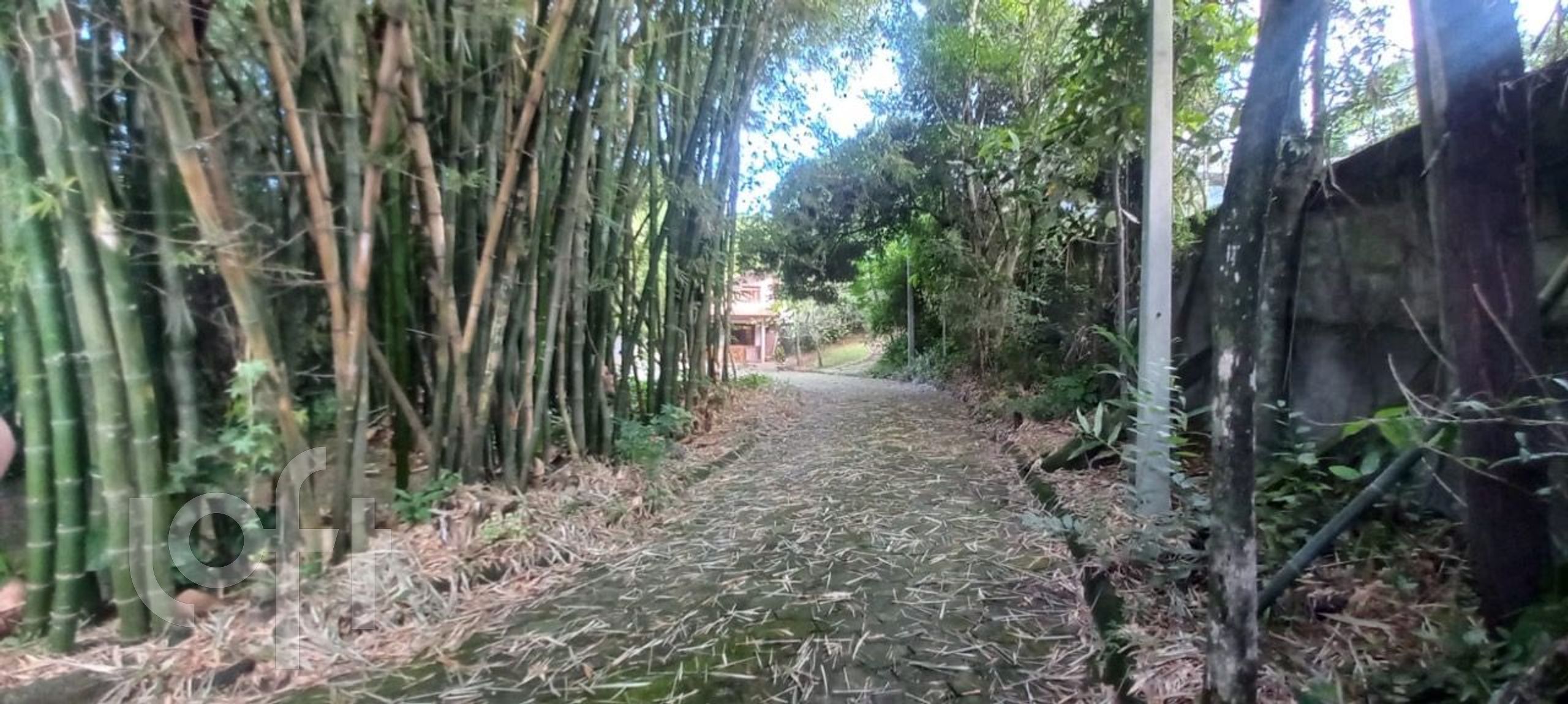 Imagem da propriedade 8