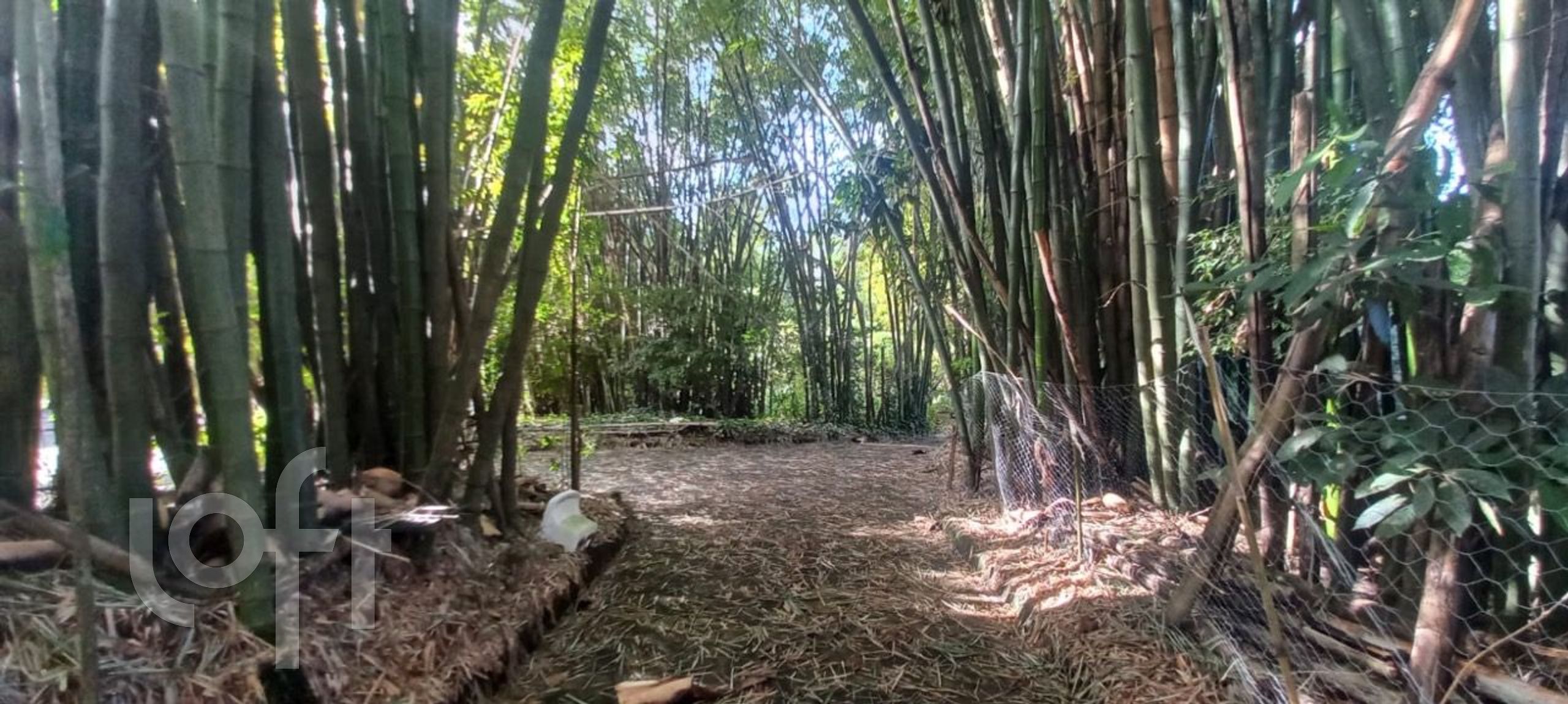 Imagem da propriedade 7