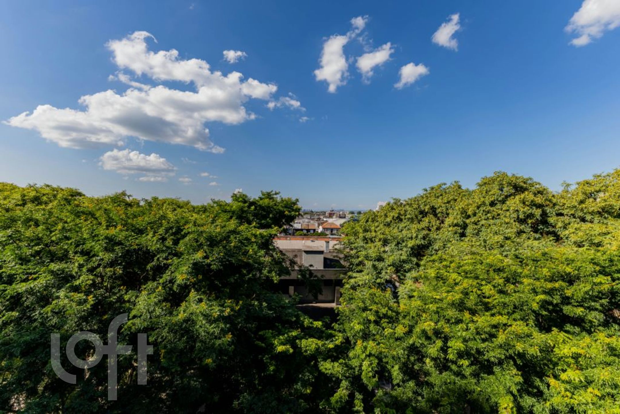 Imagem da propriedade 3