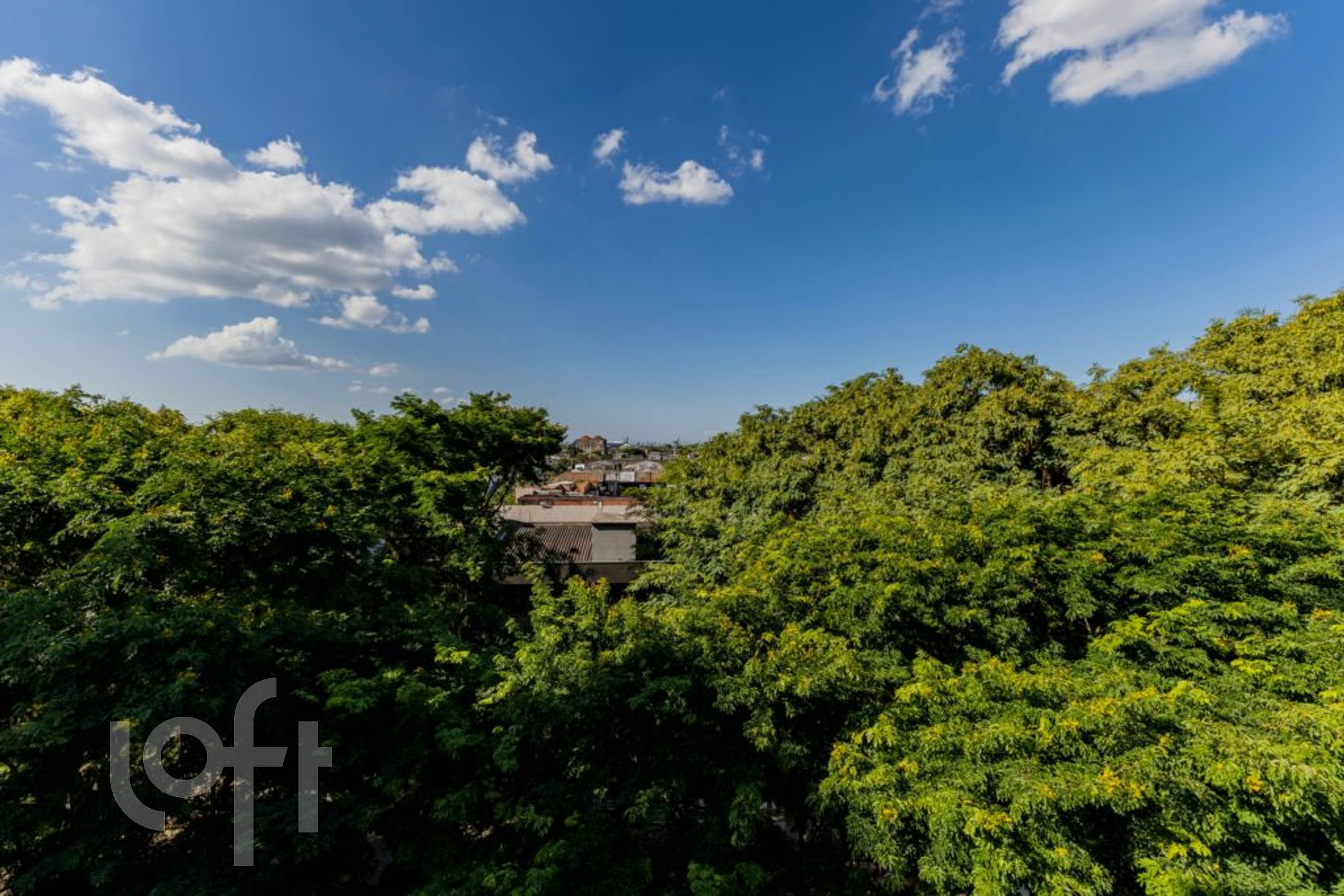 Imagem da propriedade 8