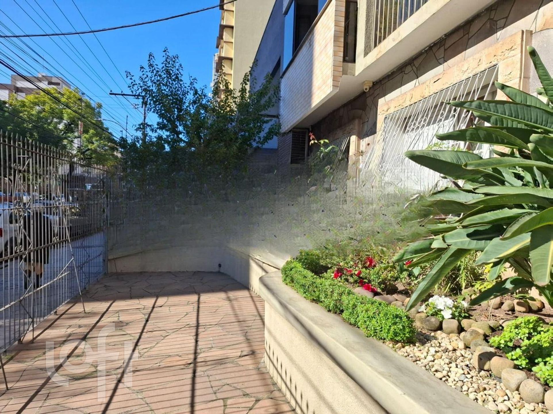 Imagem da propriedade 19