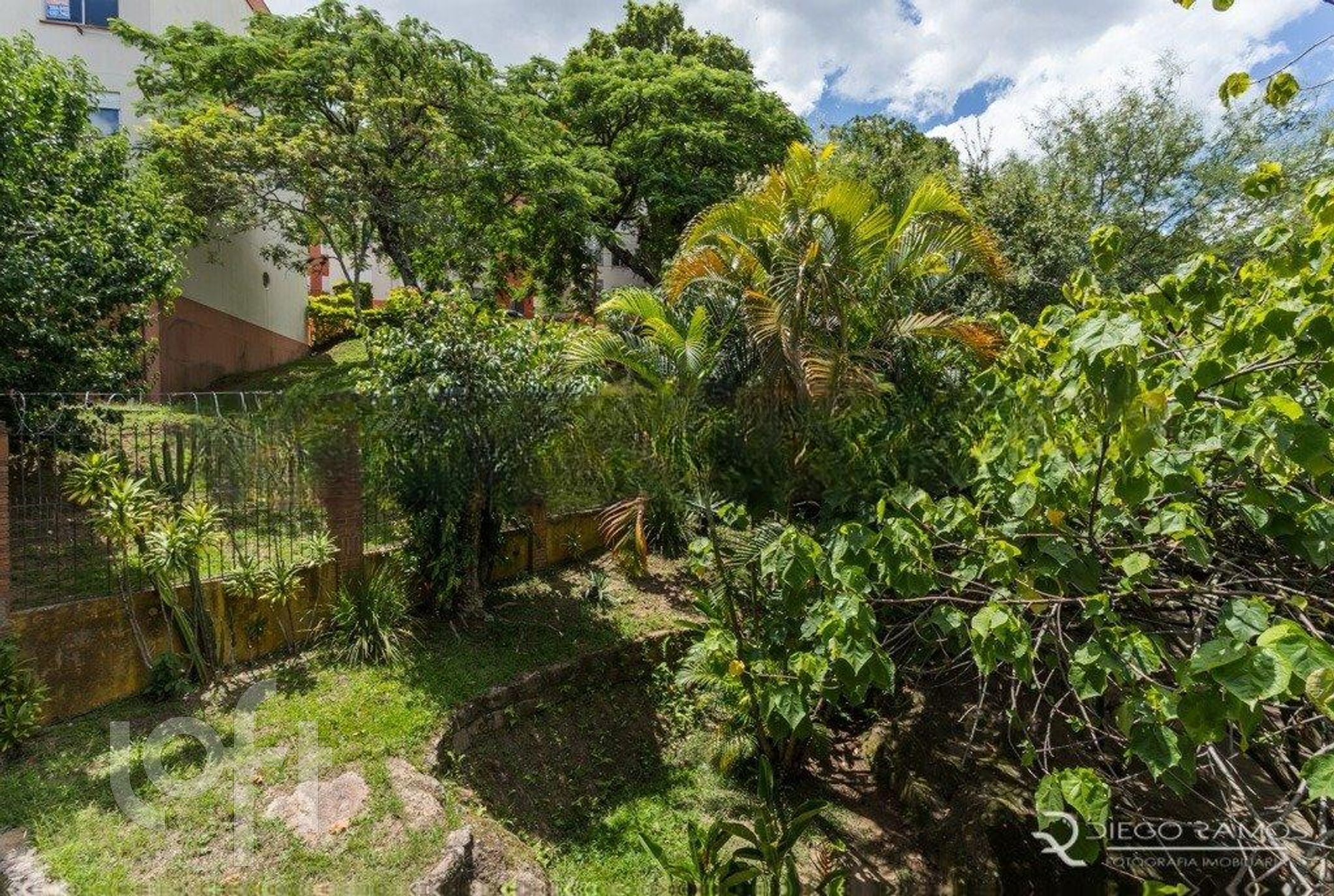 Imagem da propriedade 36