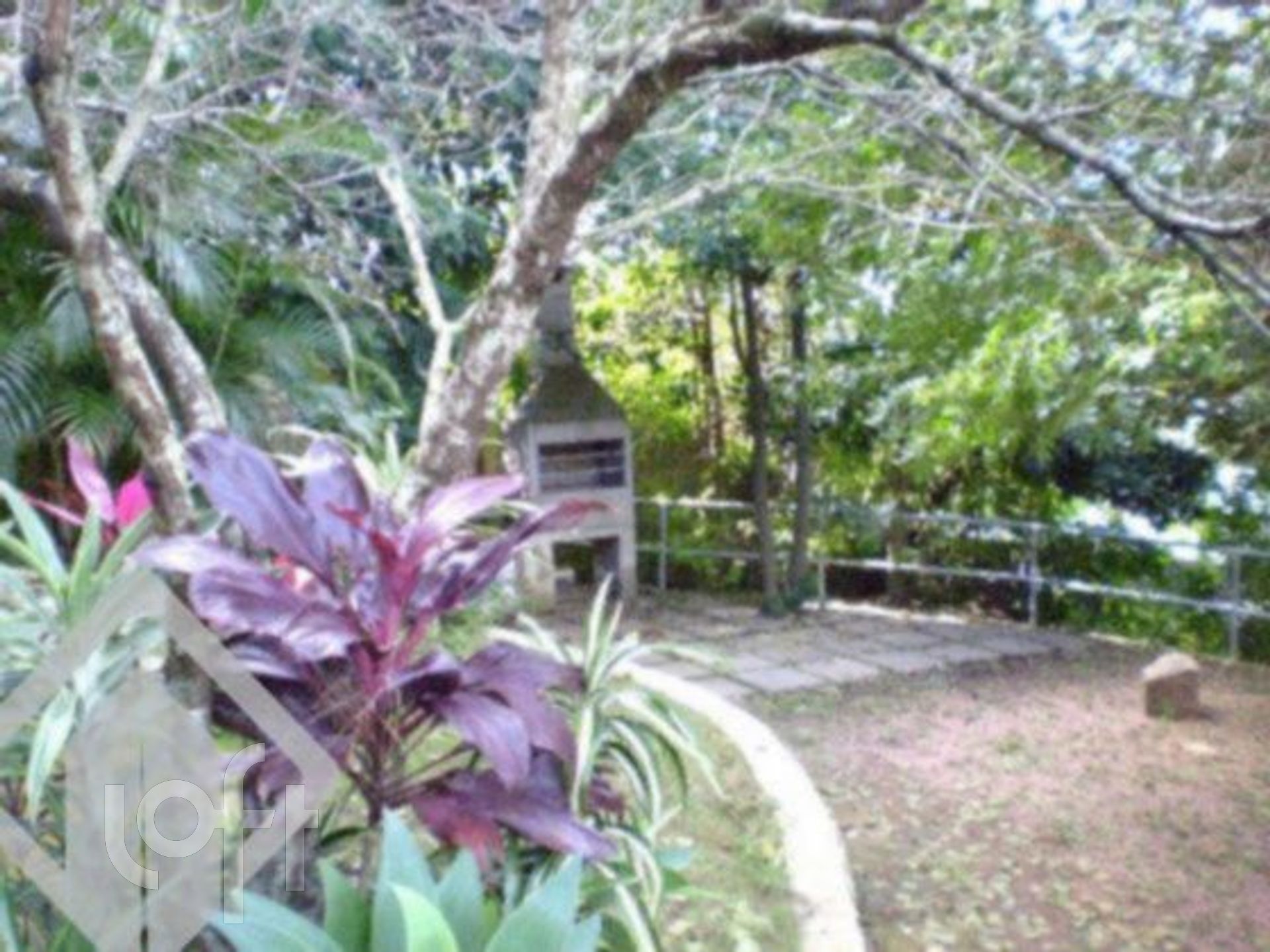 Imagem da propriedade 55