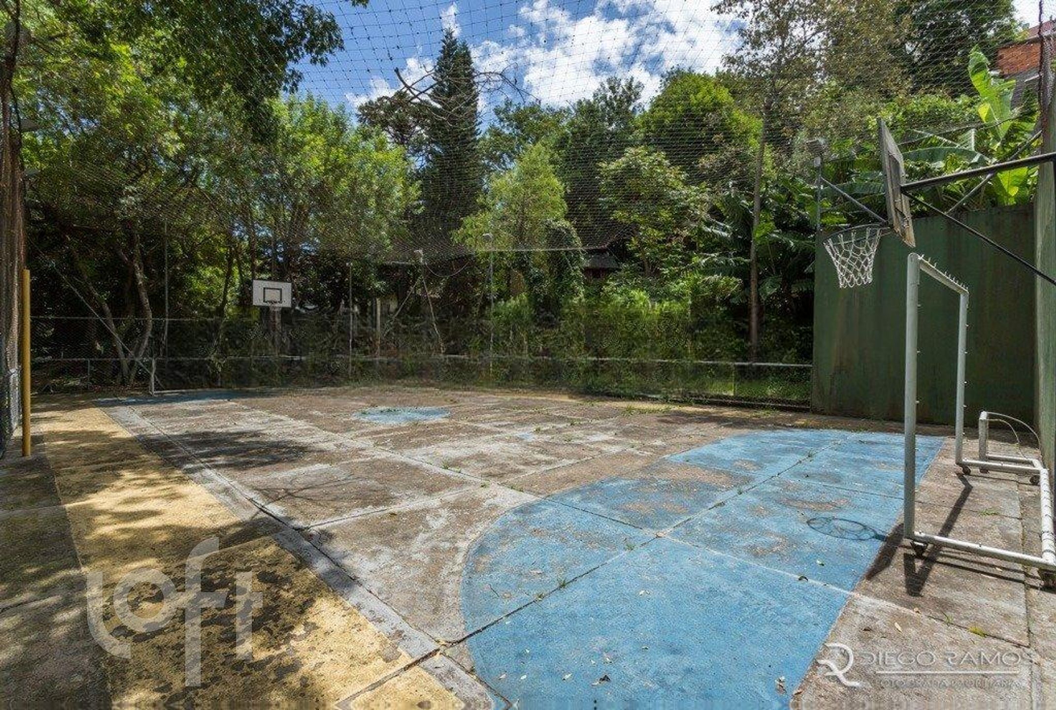 Imagem da propriedade 53