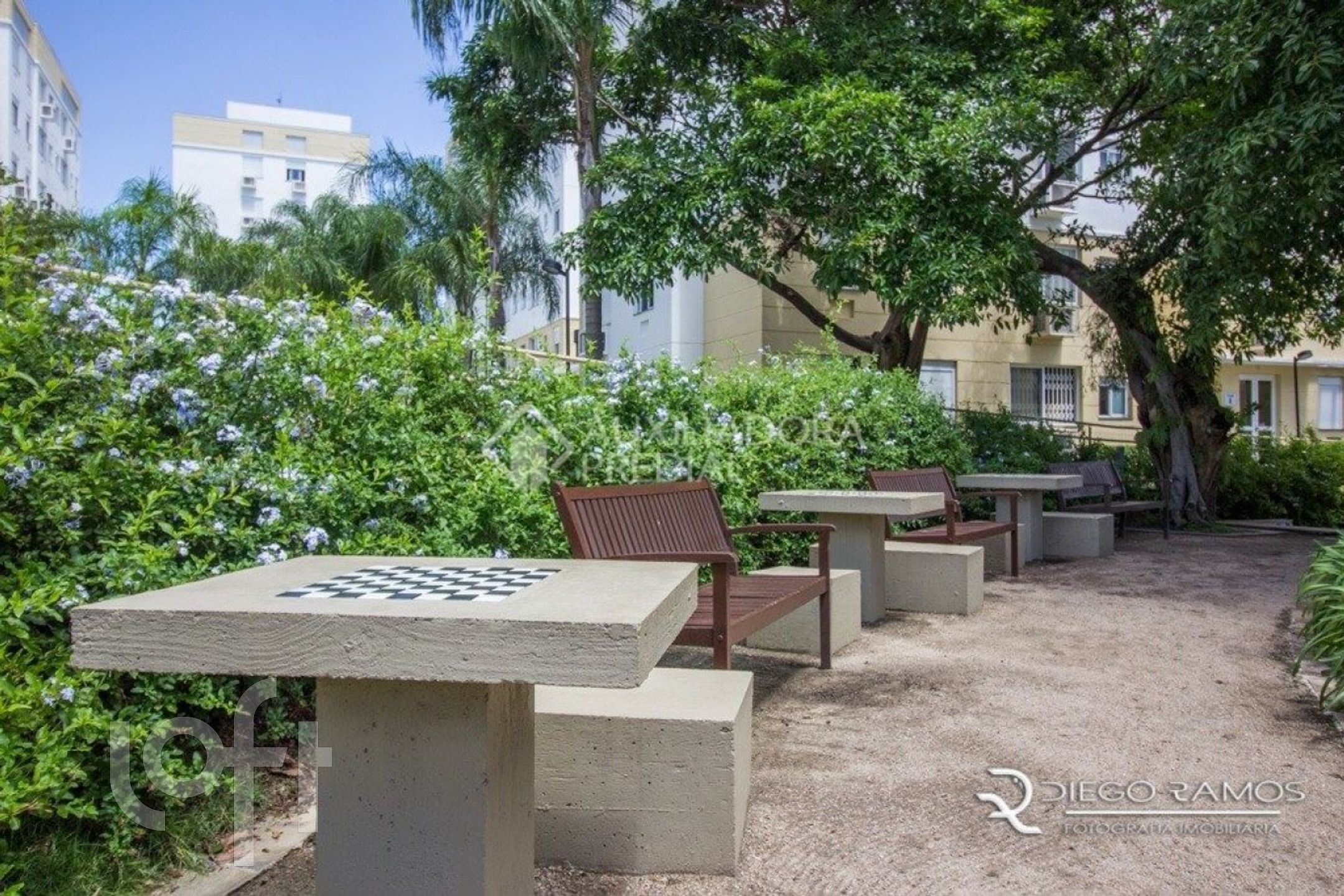 Imagem da propriedade 40