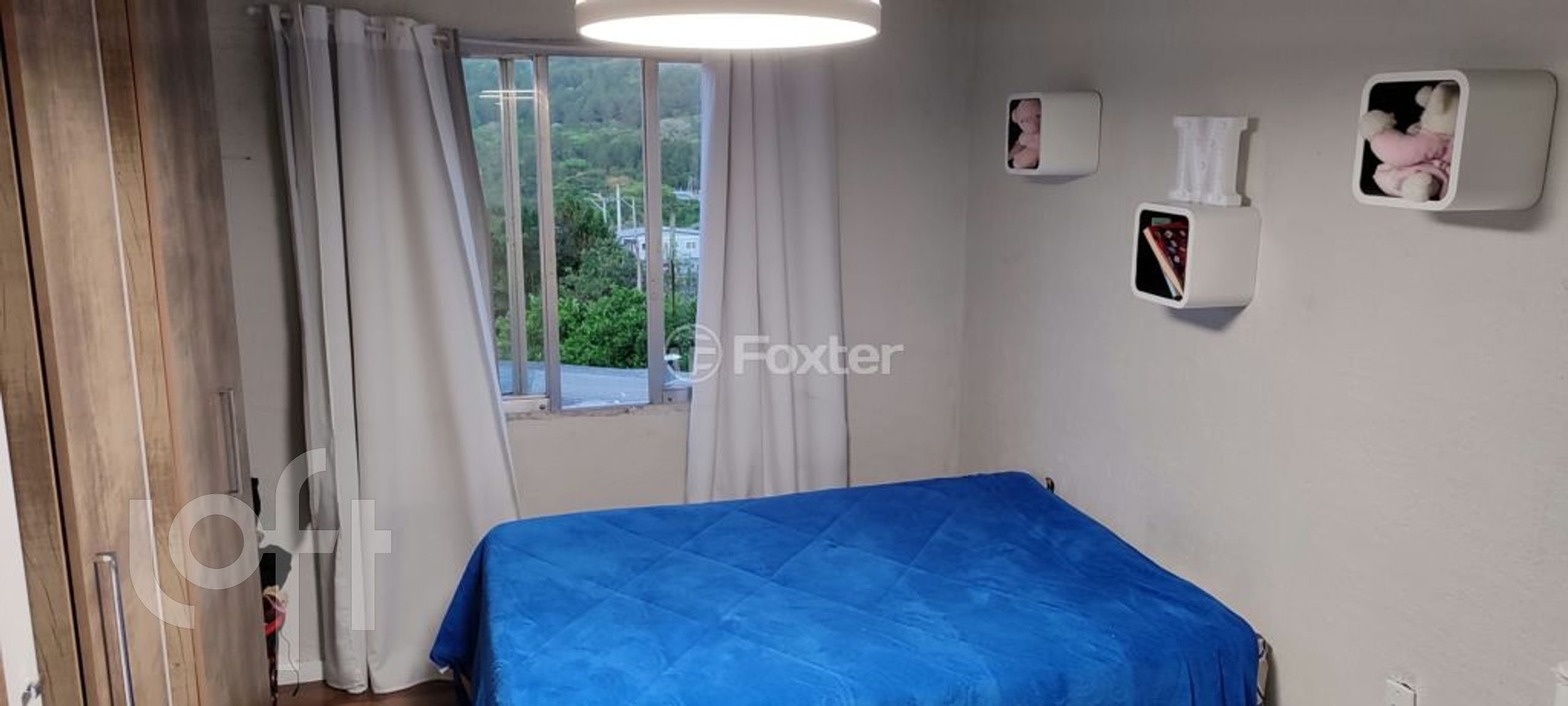 Imagem da propriedade 11