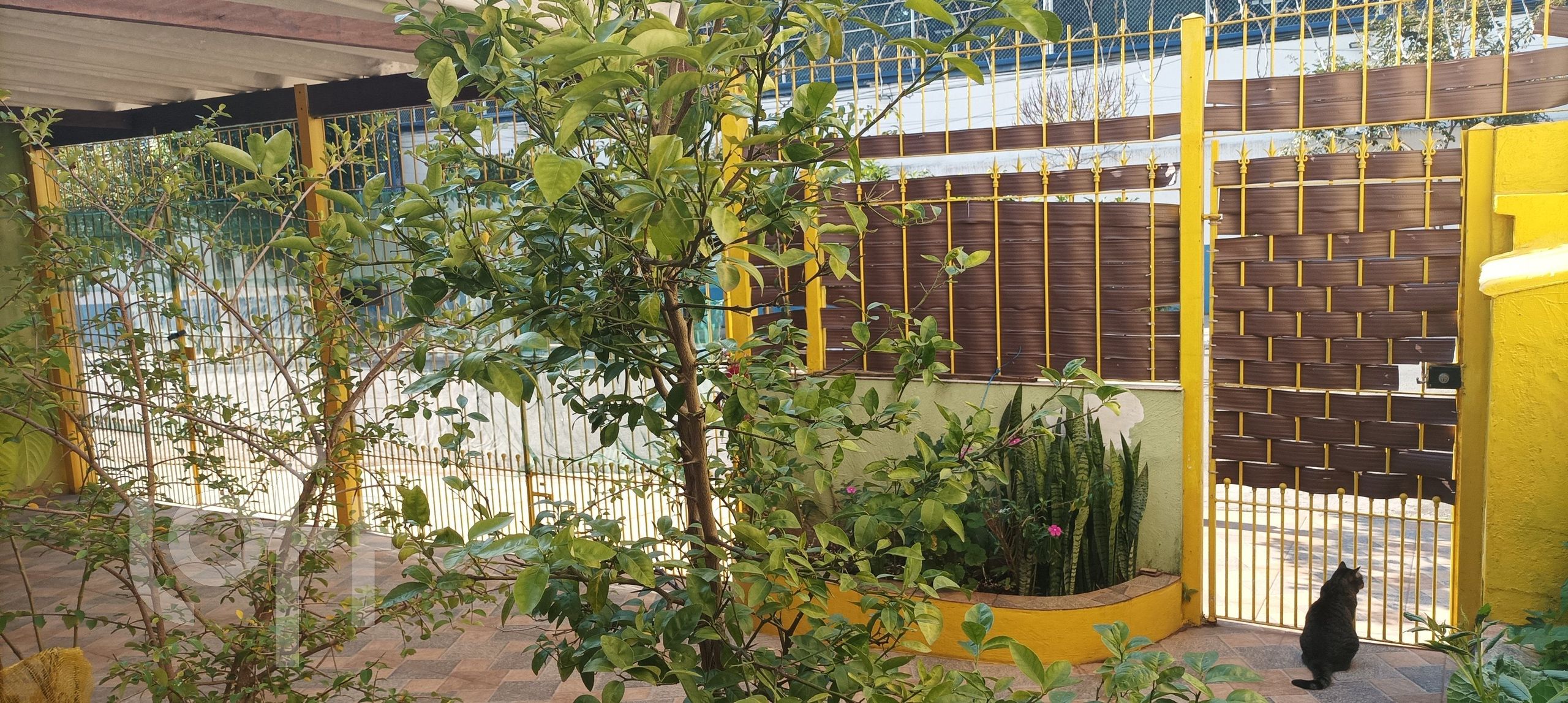 Casa, 3 quartos, 60 m² - Foto 17