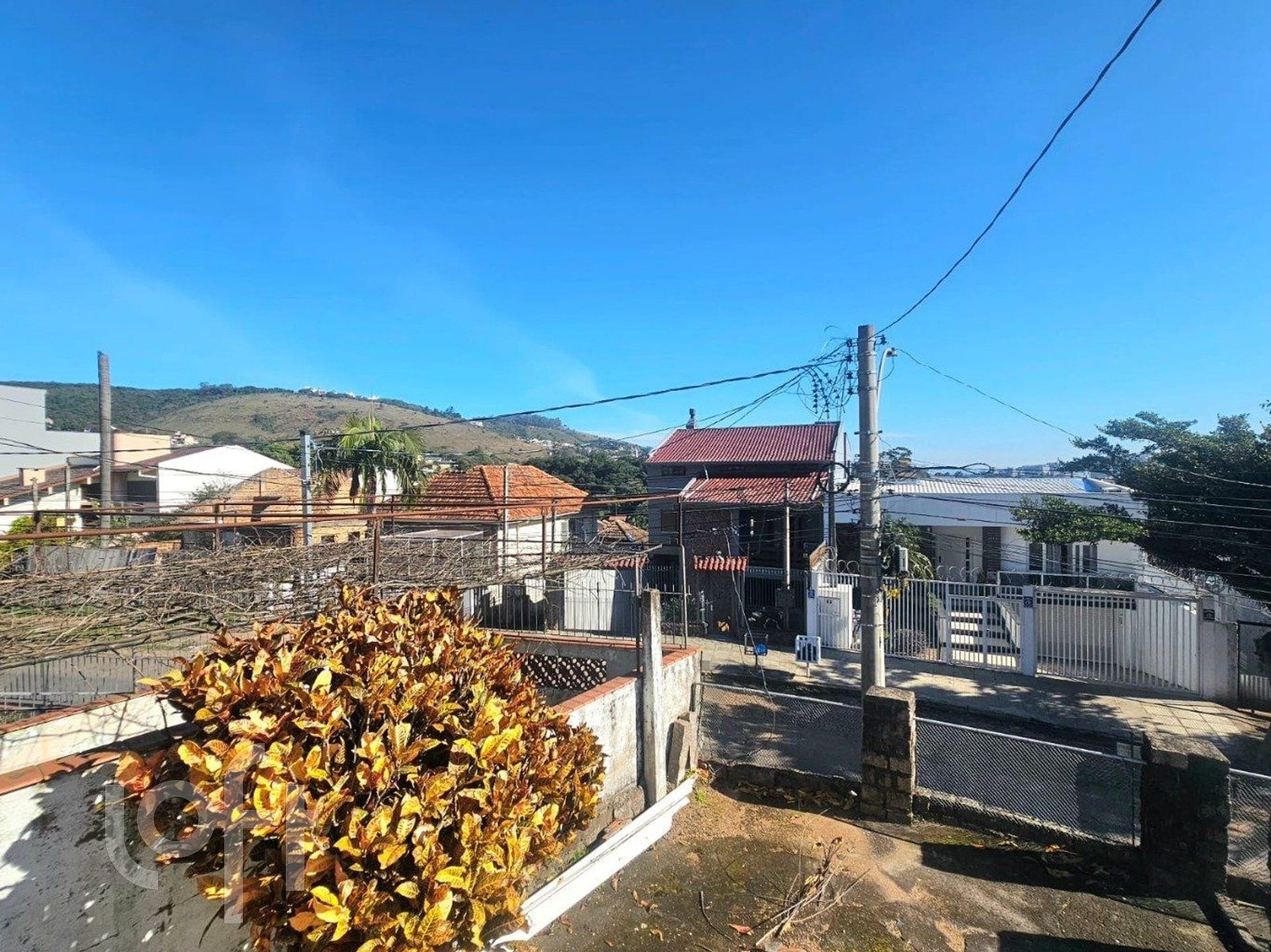 Imagem da propriedade 6