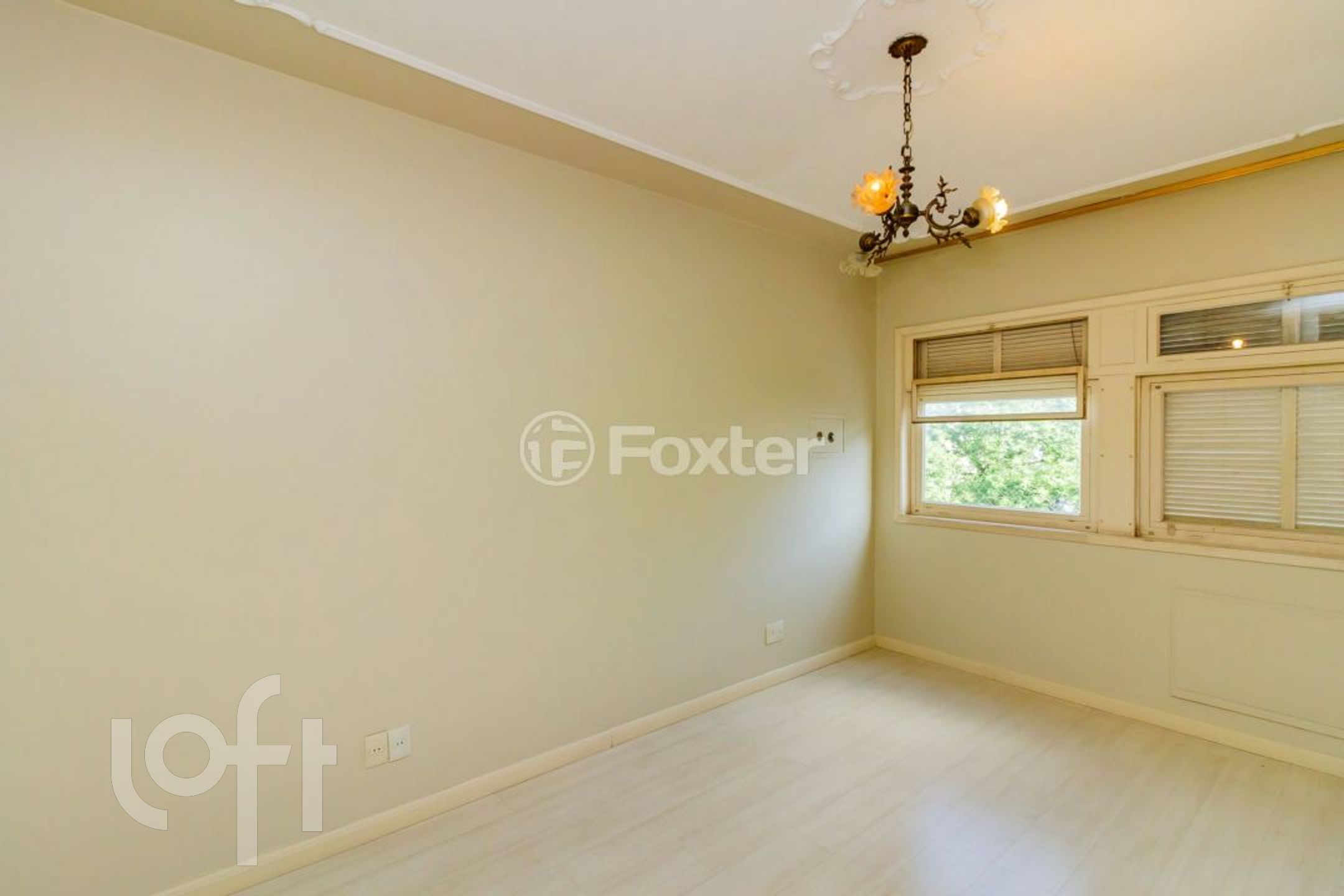 Imagem da propriedade 29