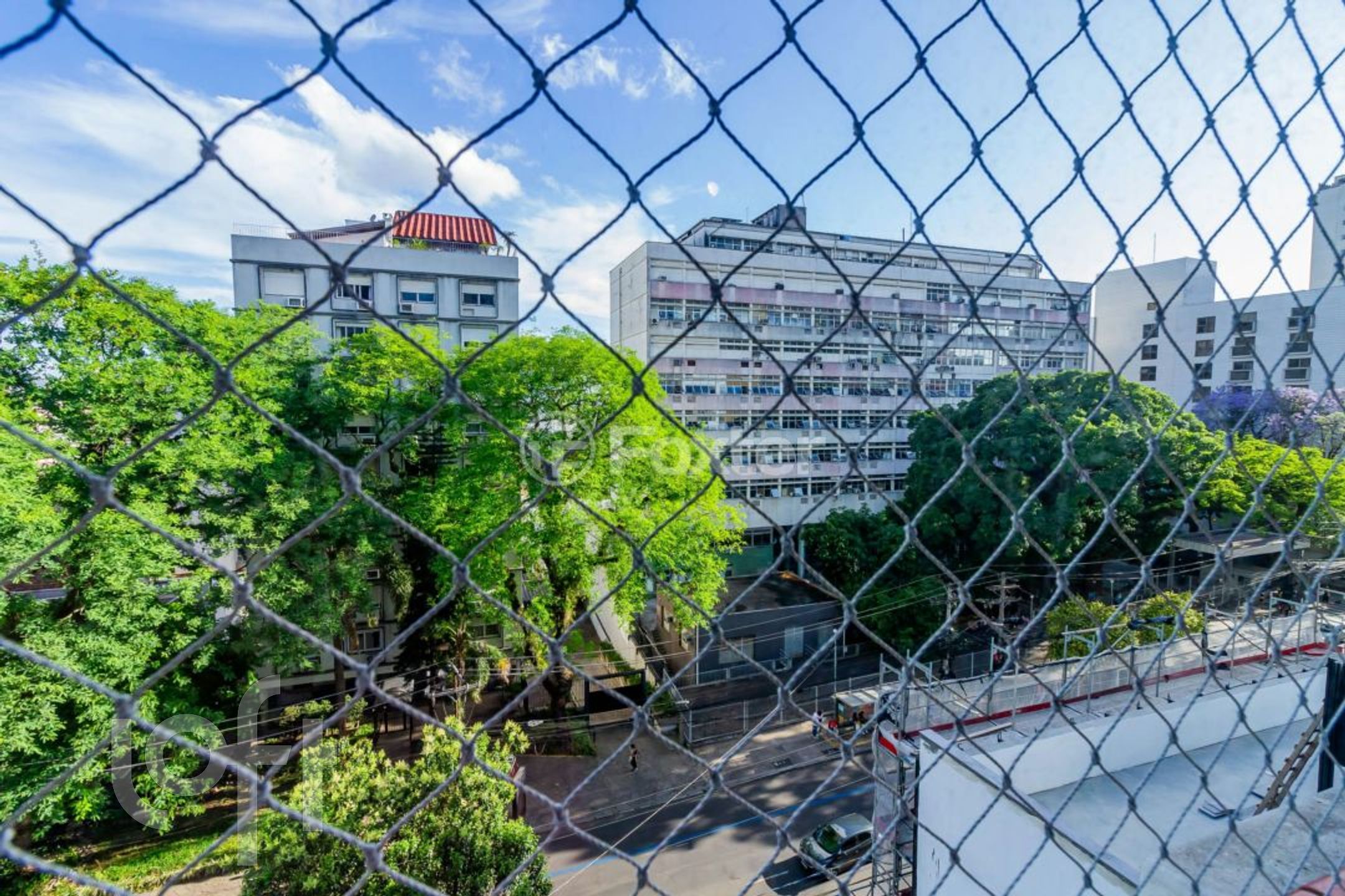 Imagem da propriedade 33