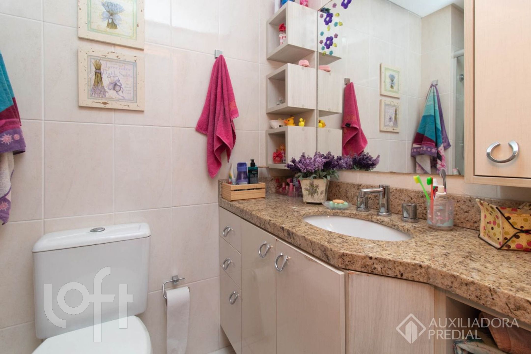 Imagem da propriedade 23