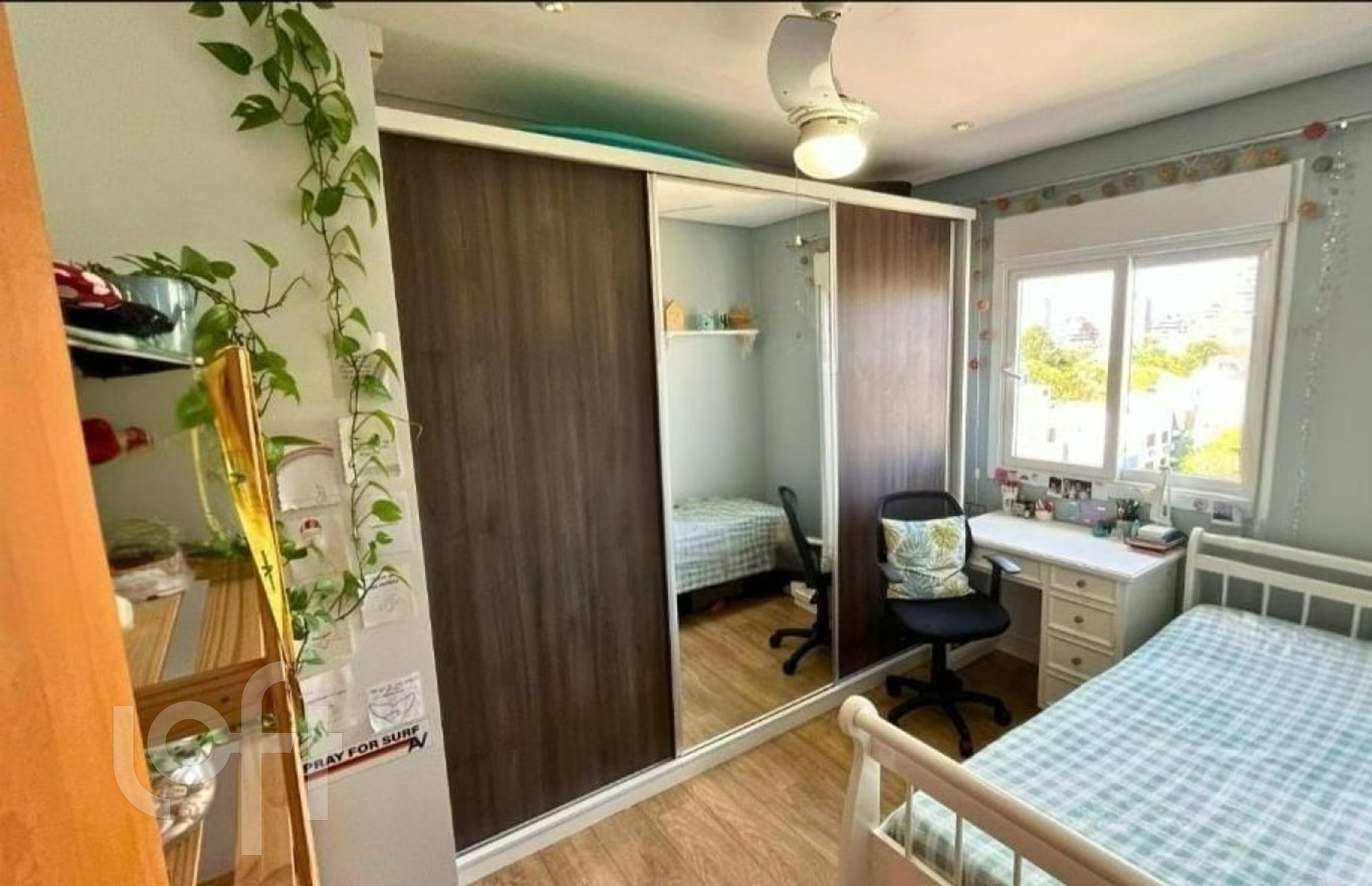 Imagem da propriedade 11