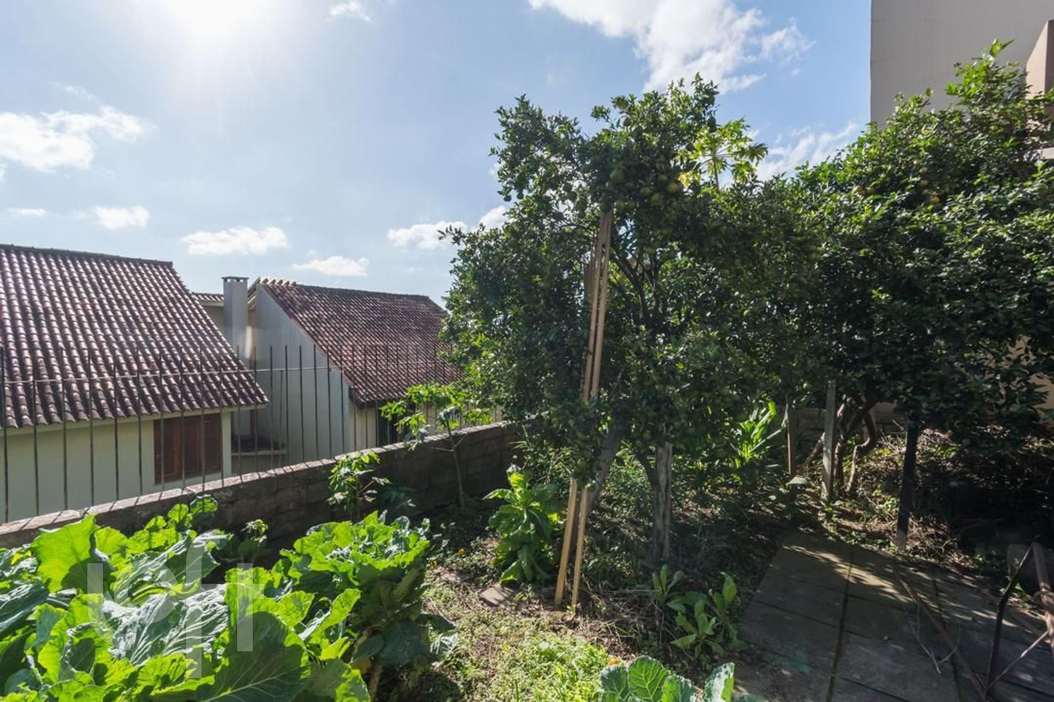 Imagem da propriedade 46