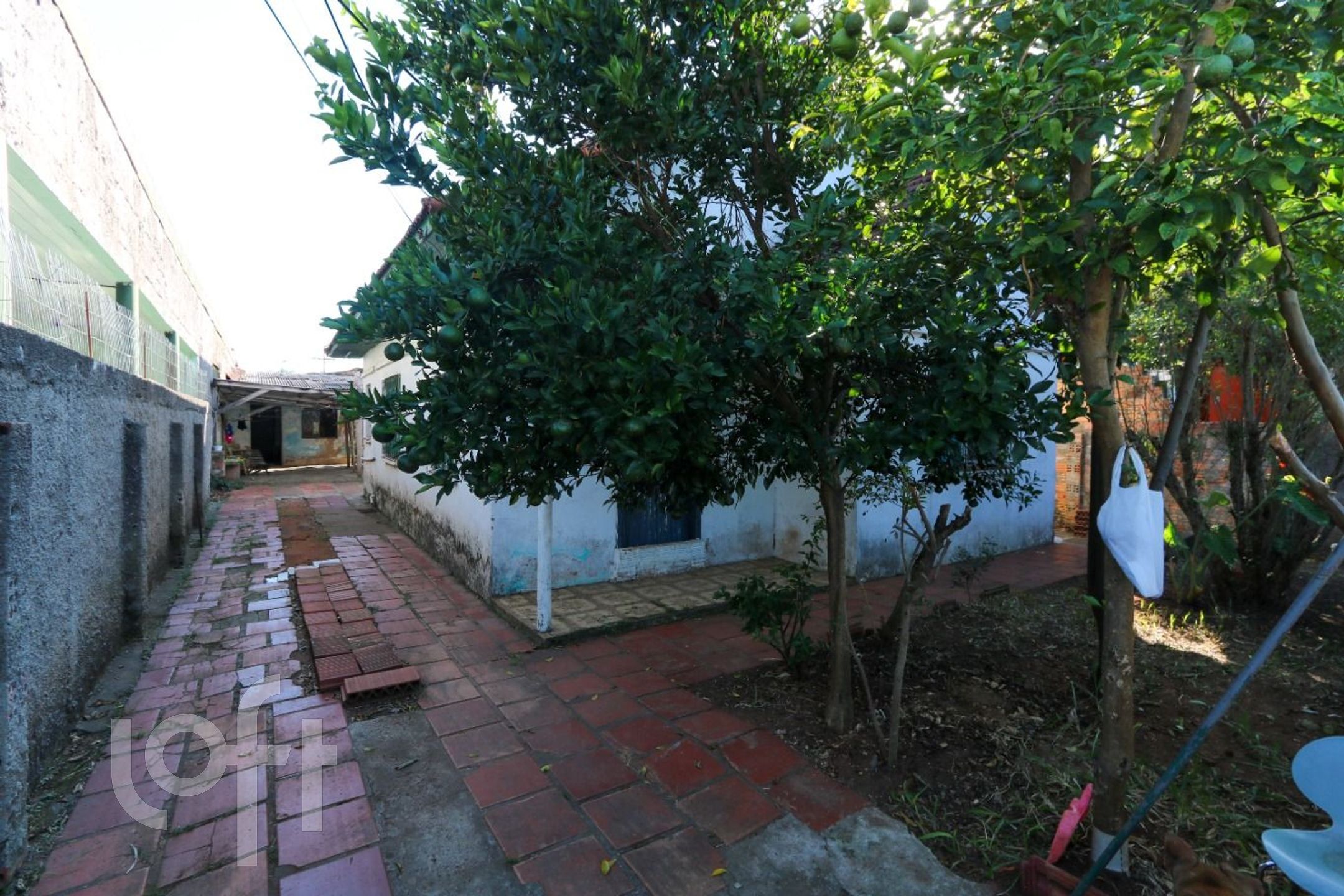 Imagem da propriedade 11