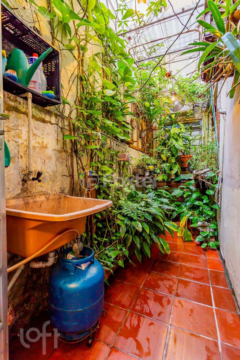 Imagem da propriedade 19