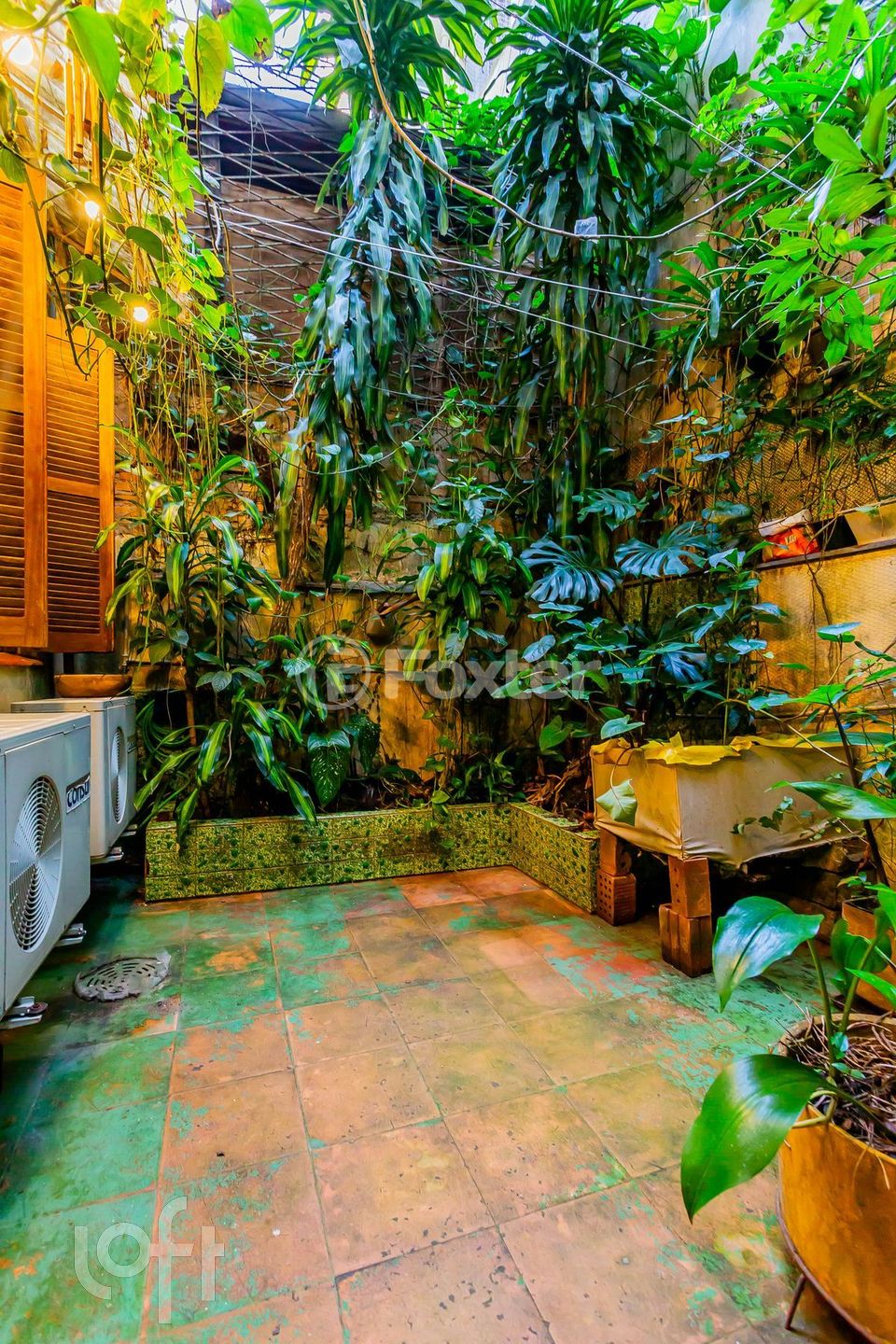 Imagem da propriedade 17