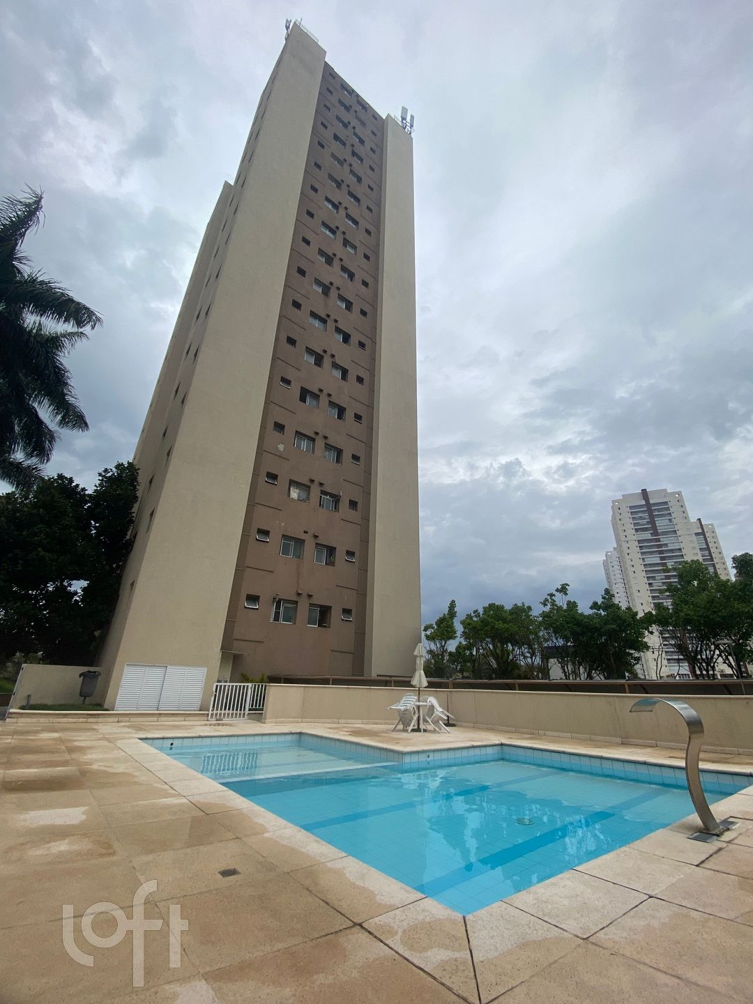Imagem da propriedade PU1polpig 18