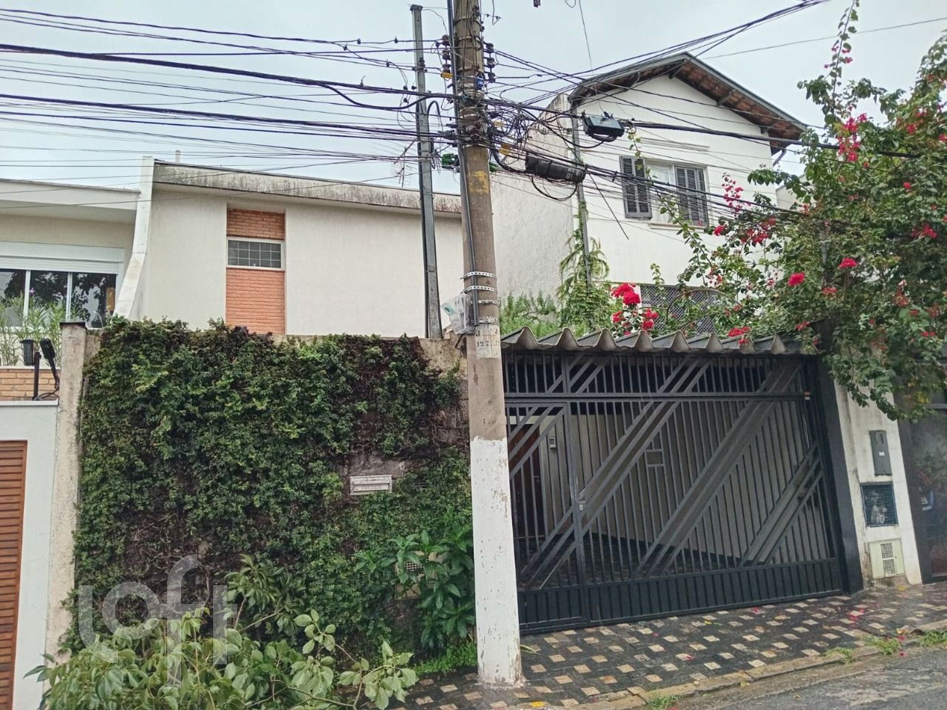 Imagem da propriedade 26