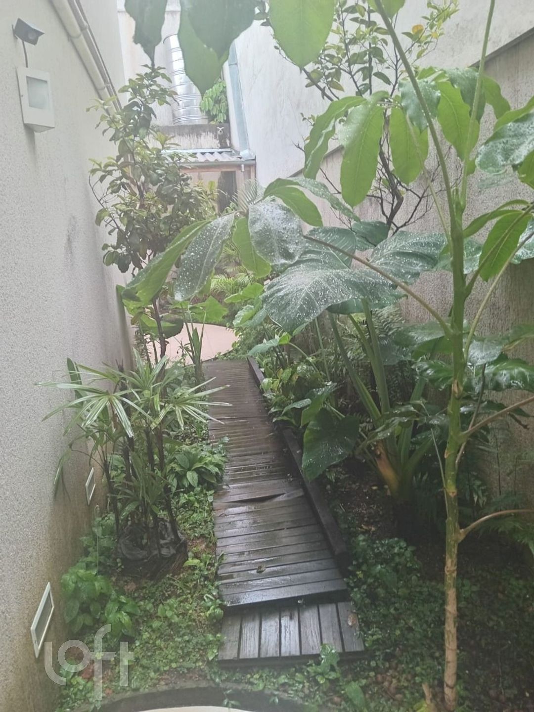 Imagem da propriedade 21