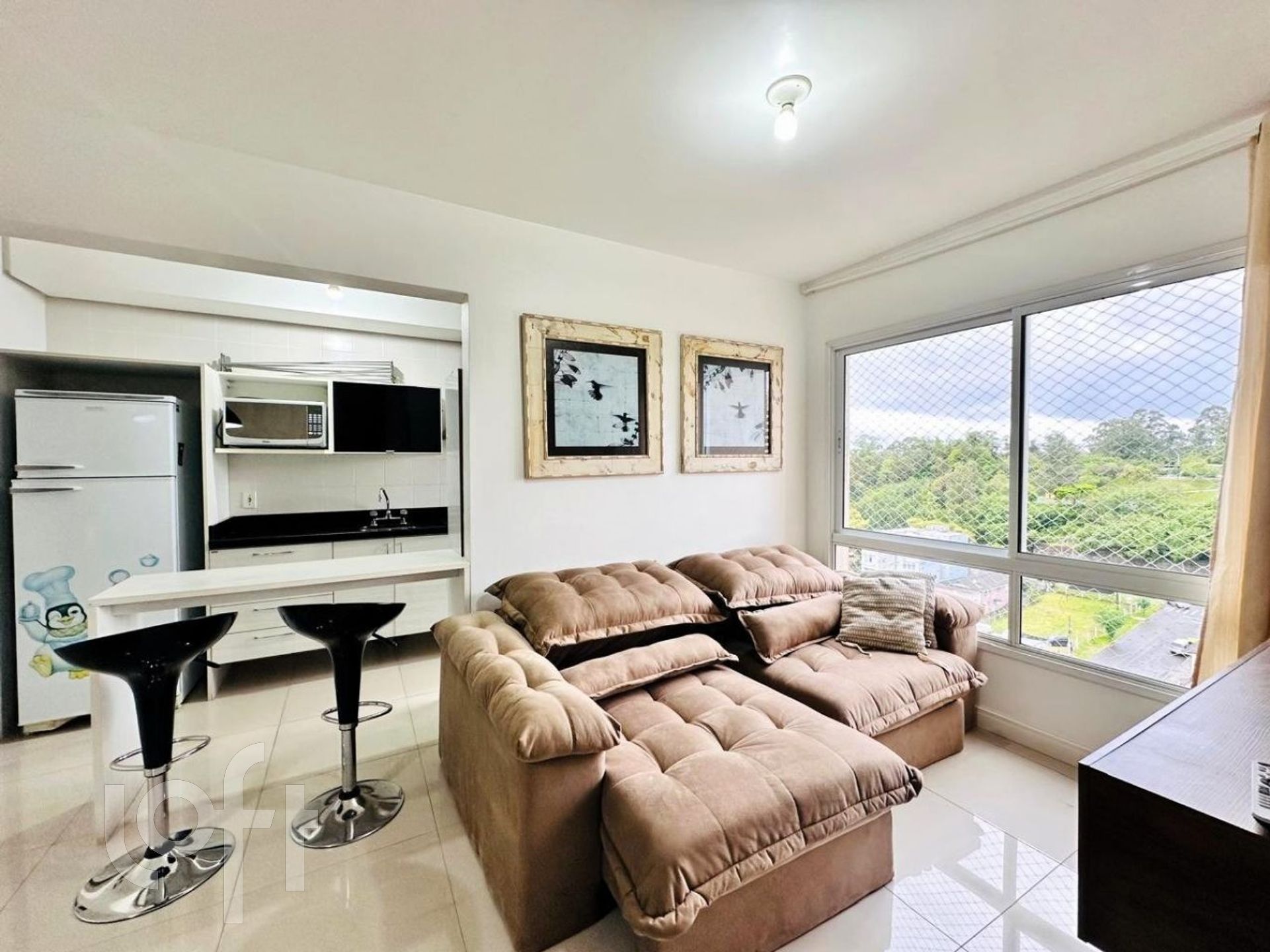 Imagem da propriedade 4