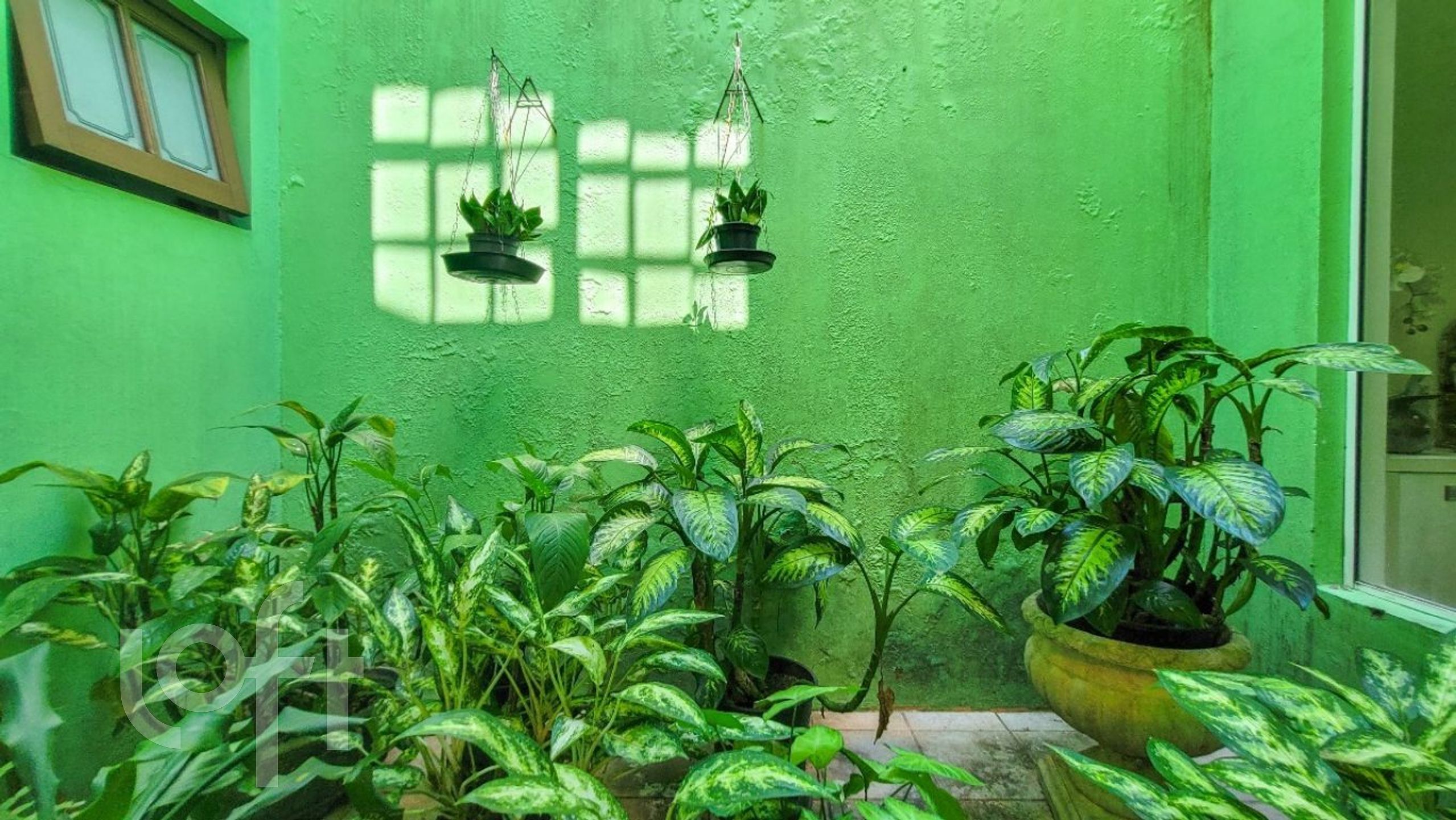 Imagem da propriedade 9