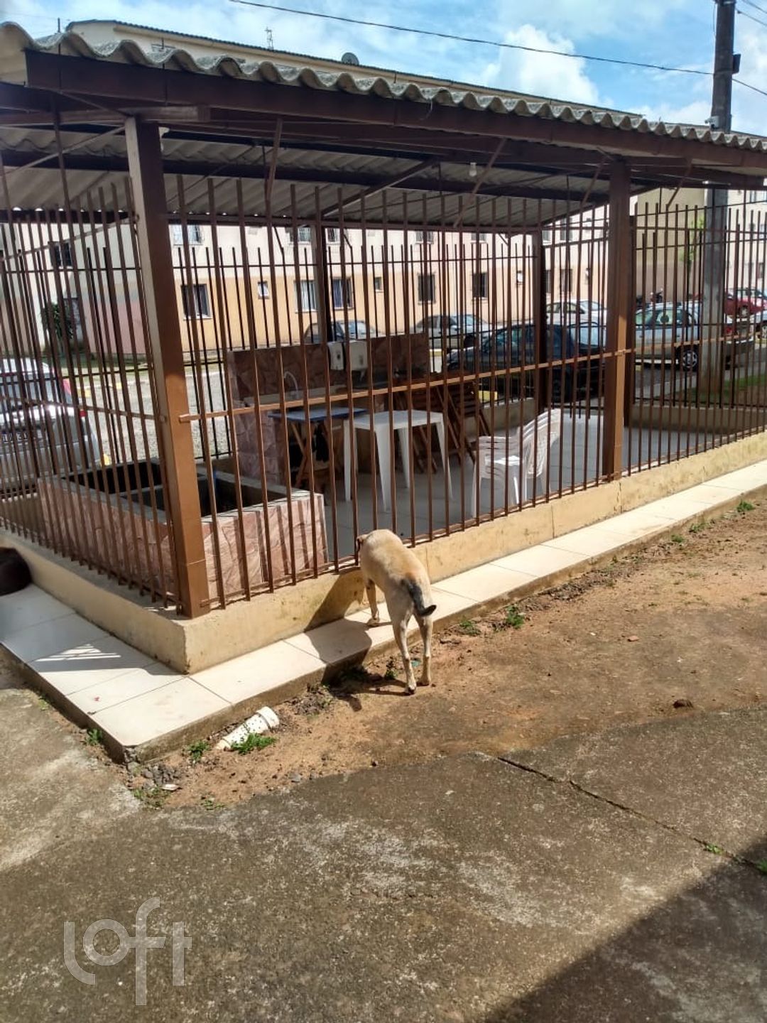 Imagem da propriedade 10