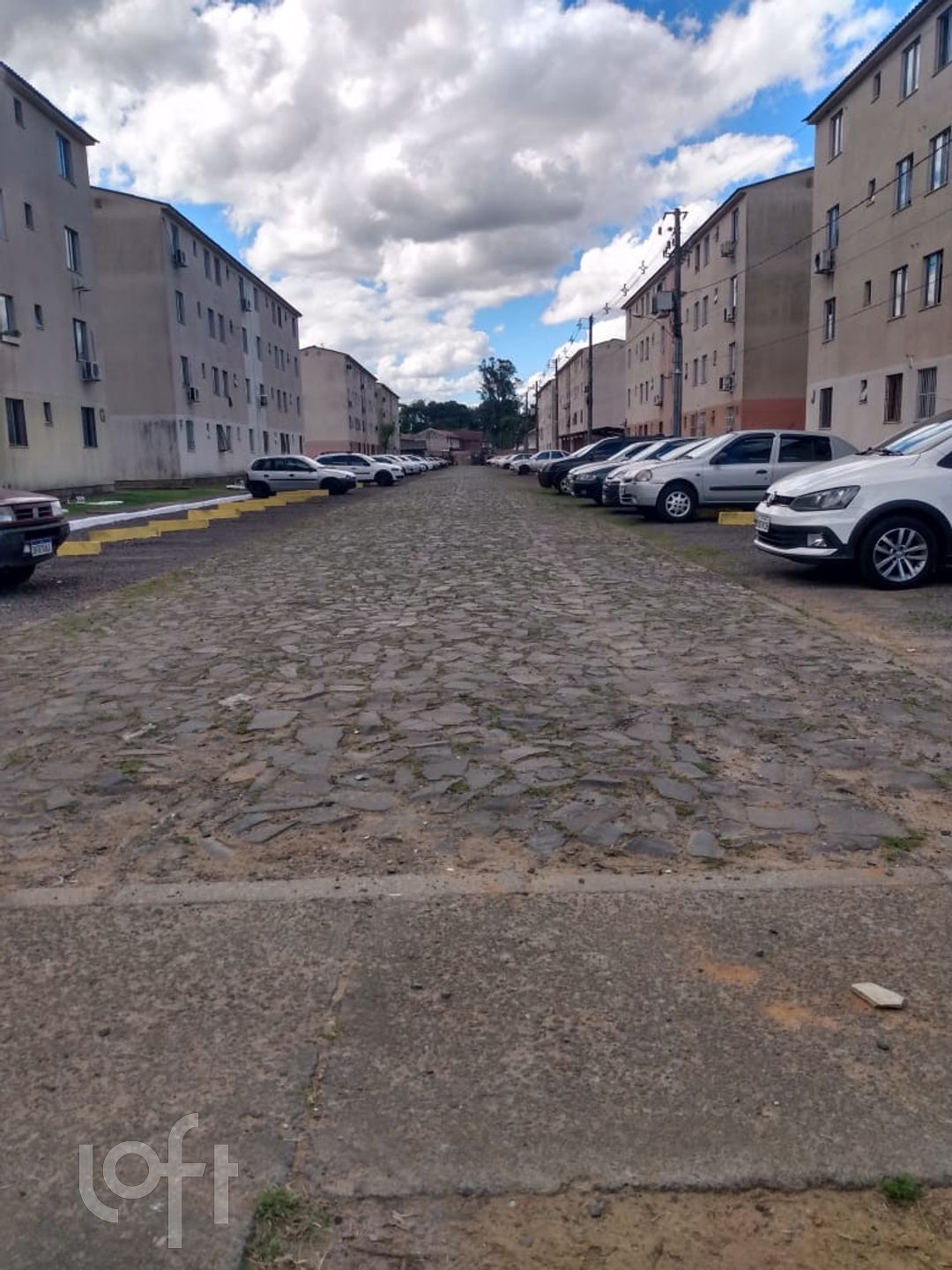 Imagem da propriedade 13