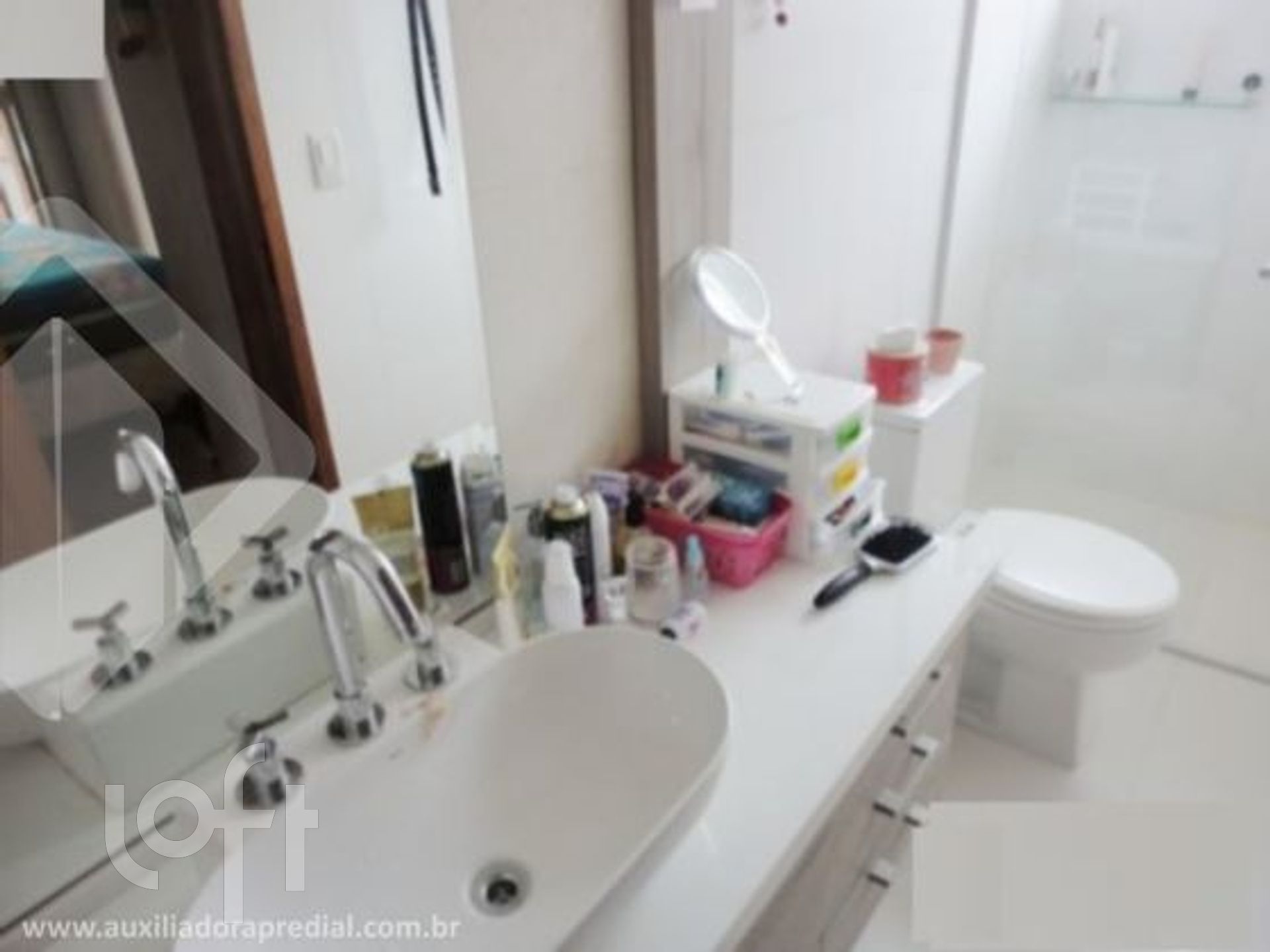 Imagem da propriedade 12