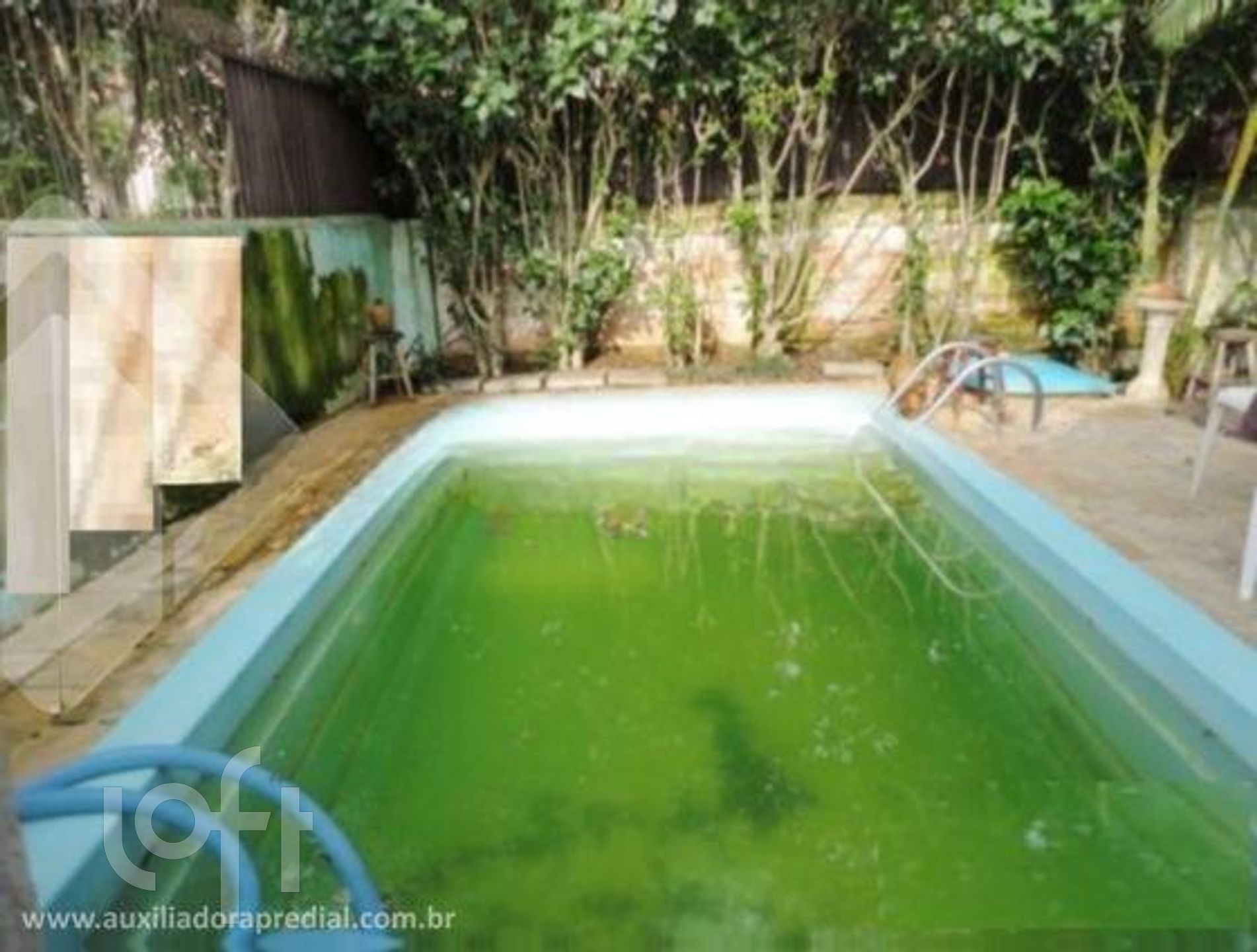 Imagem da propriedade 19