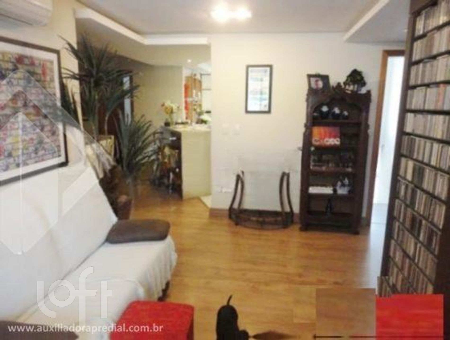 Imagem da propriedade 5