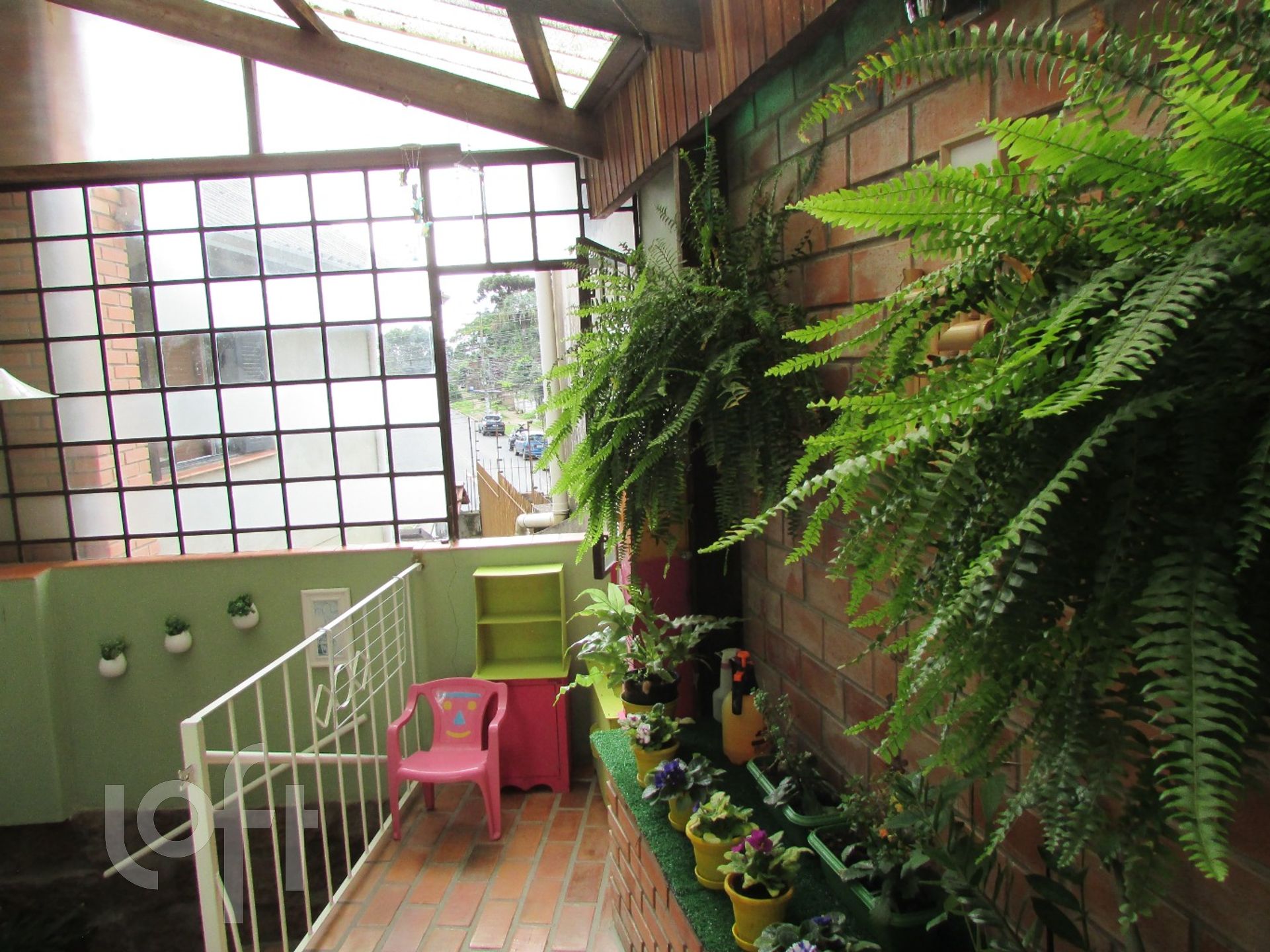 Imagem da propriedade 5