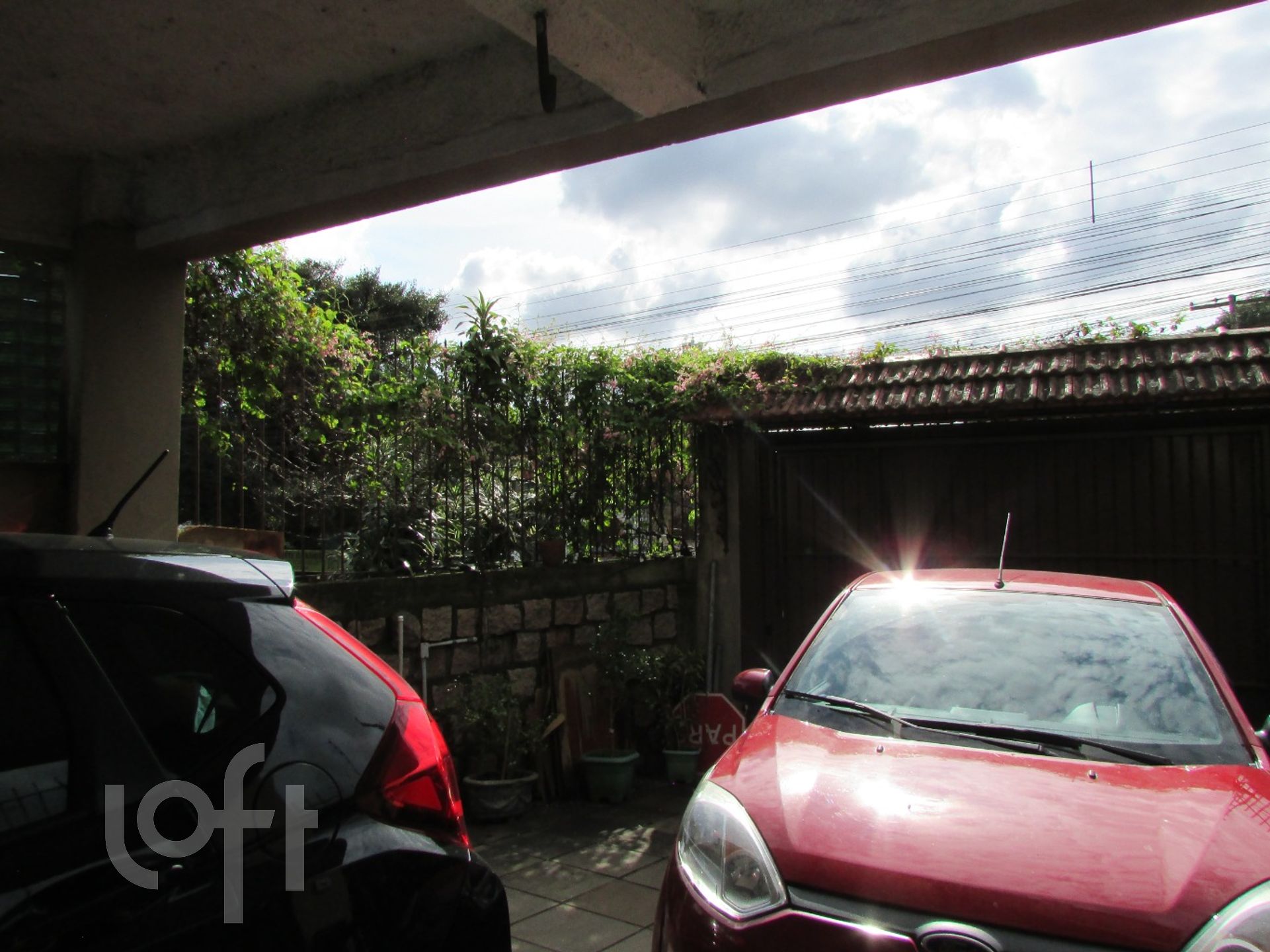 Imagem da propriedade 21