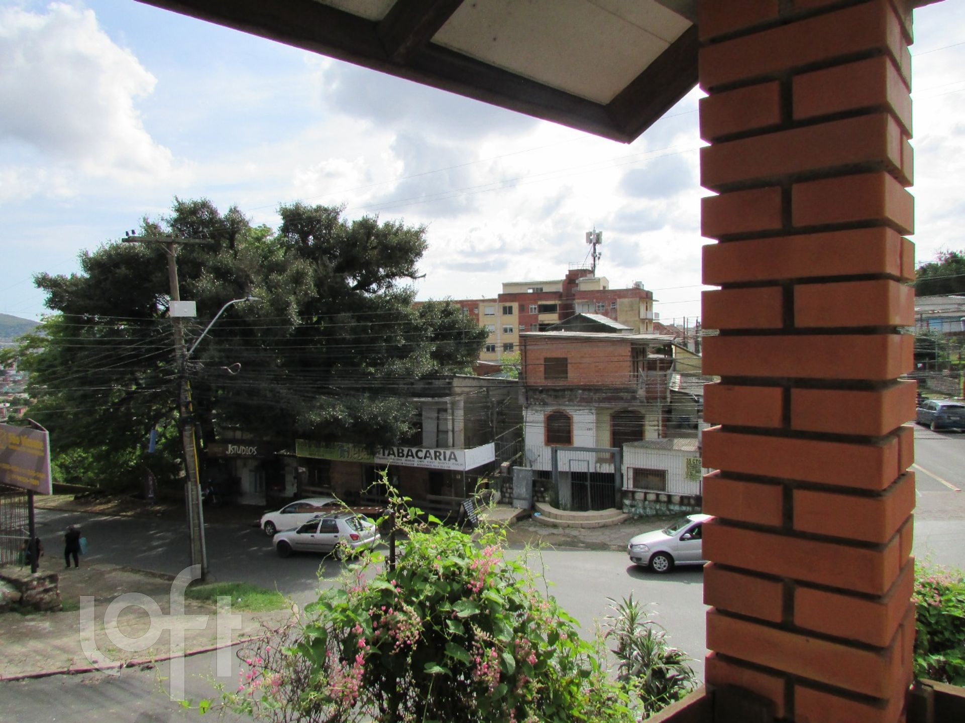 Imagem da propriedade 7