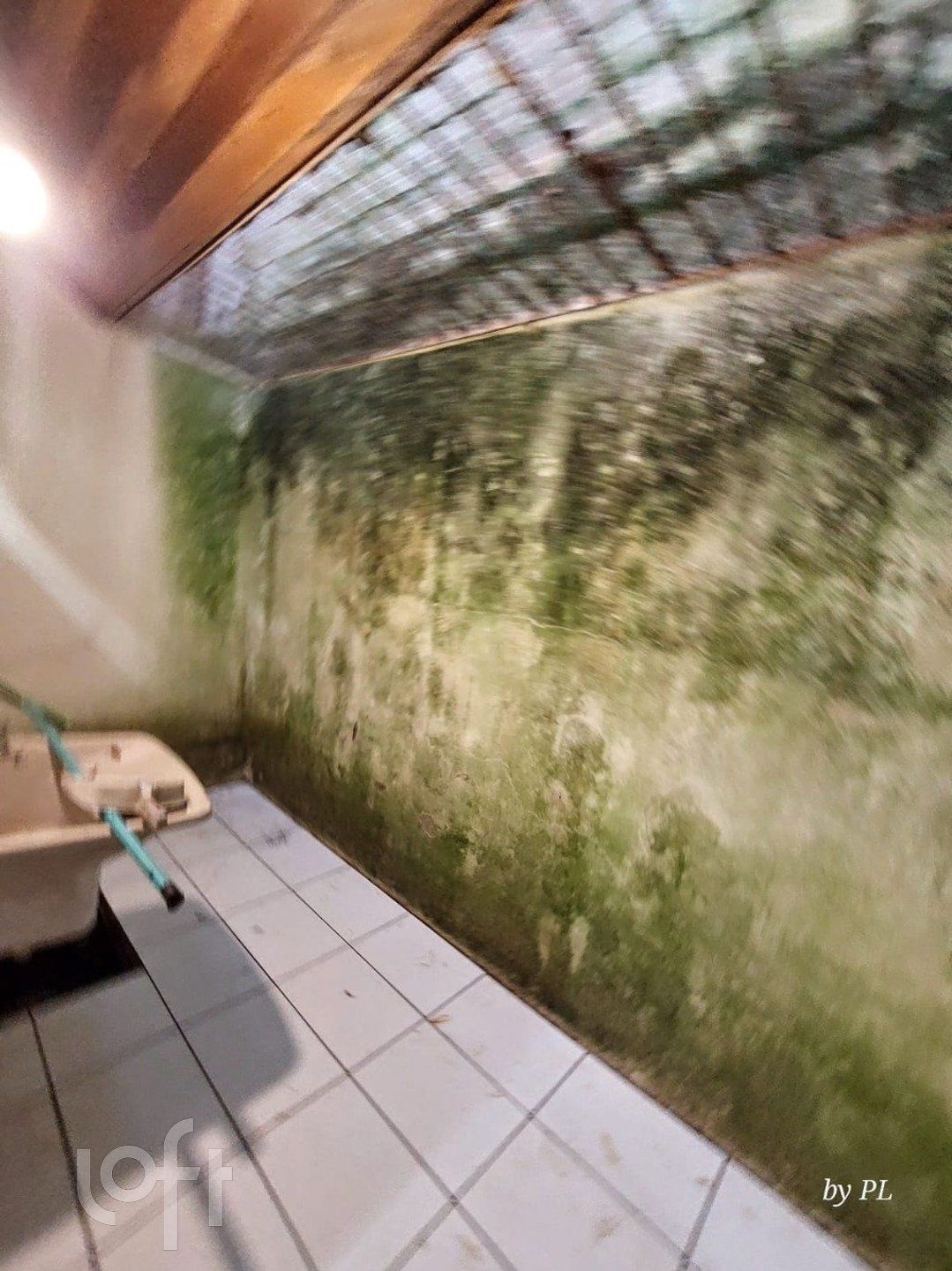 Imagem da propriedade 9