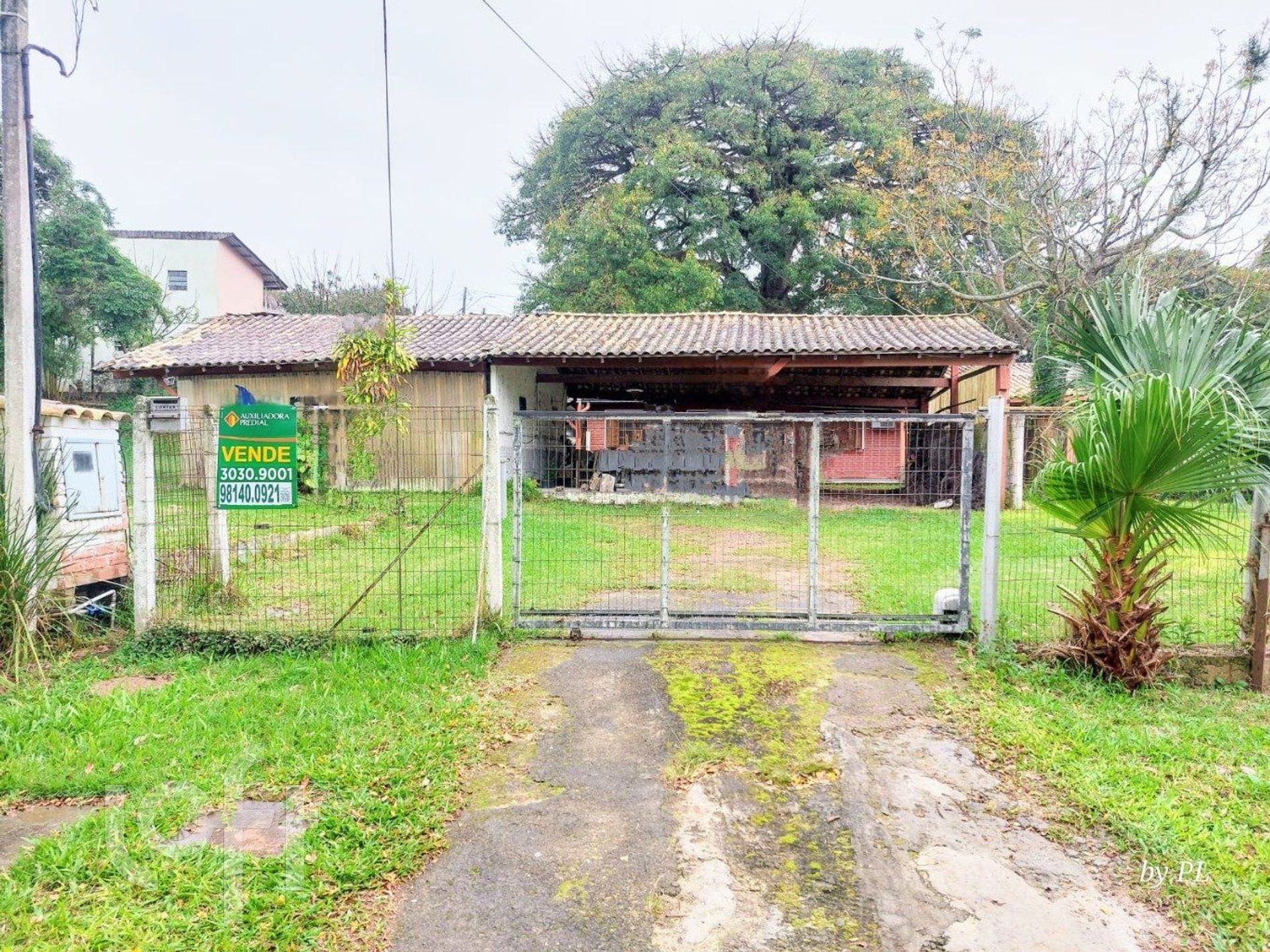 Imagem da propriedade 5