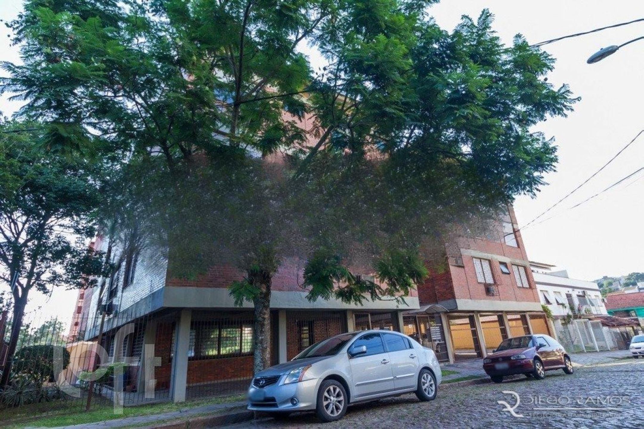 Imagem da propriedade 11