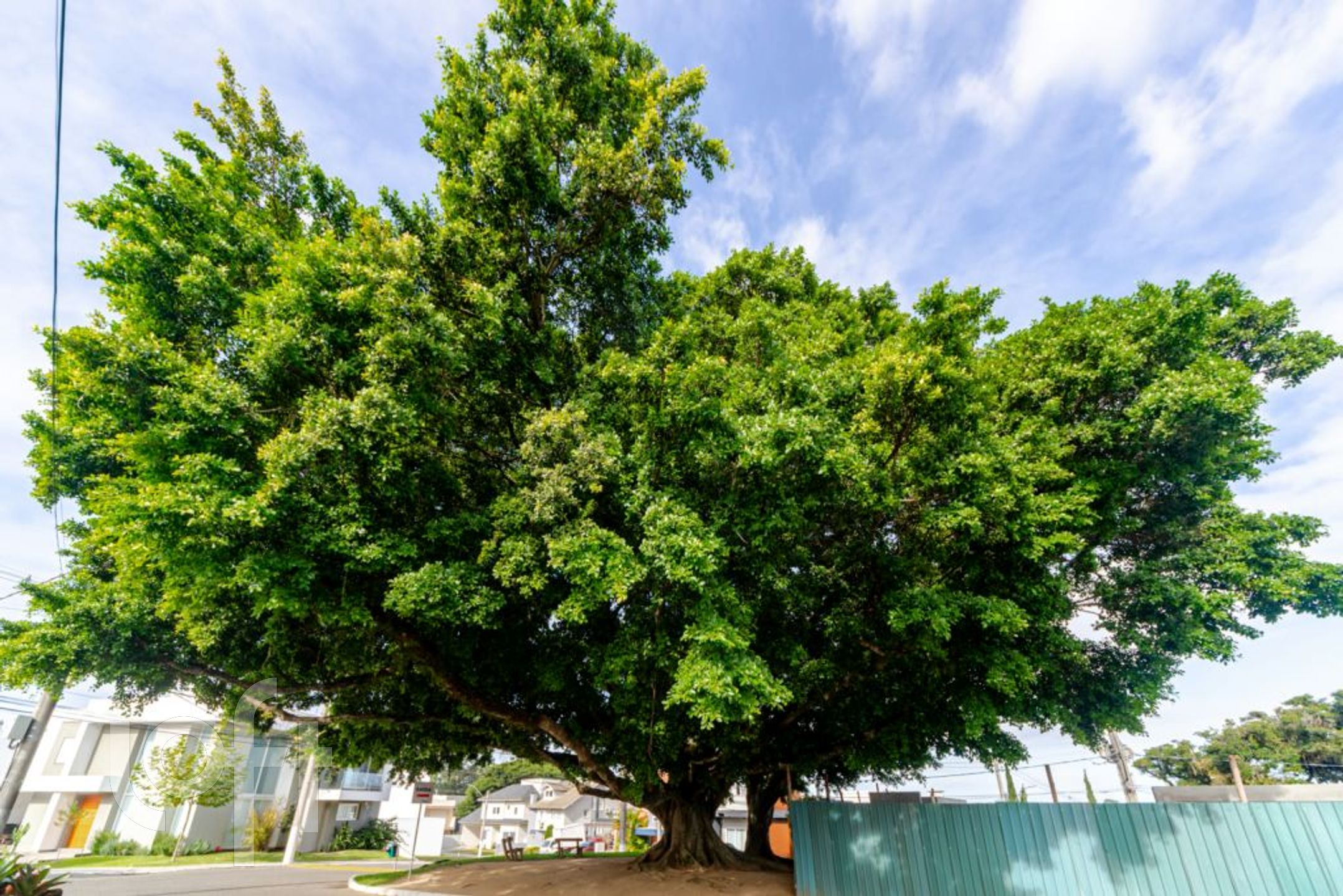 Imagem da propriedade 61