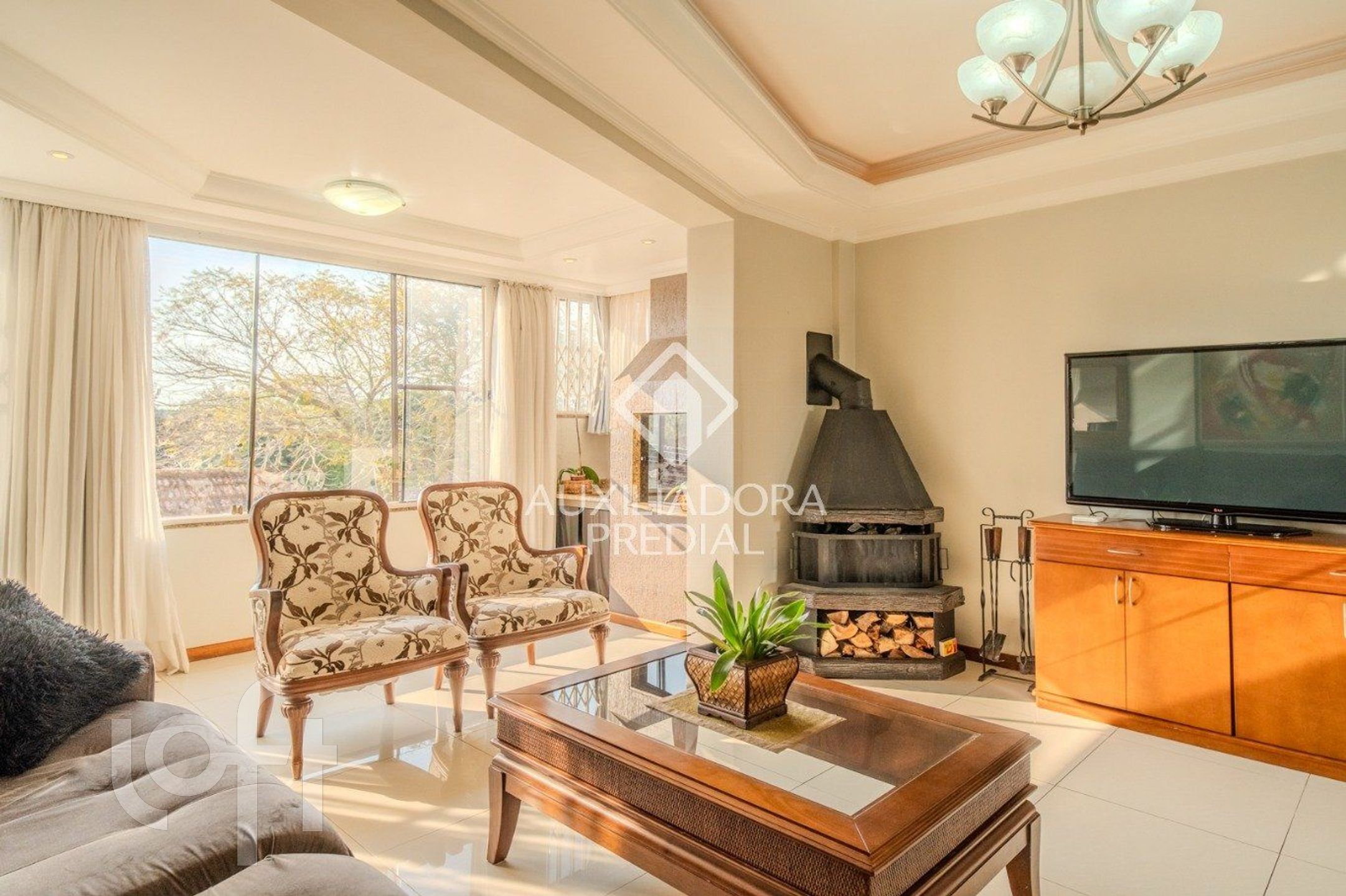 Imagem da propriedade 5