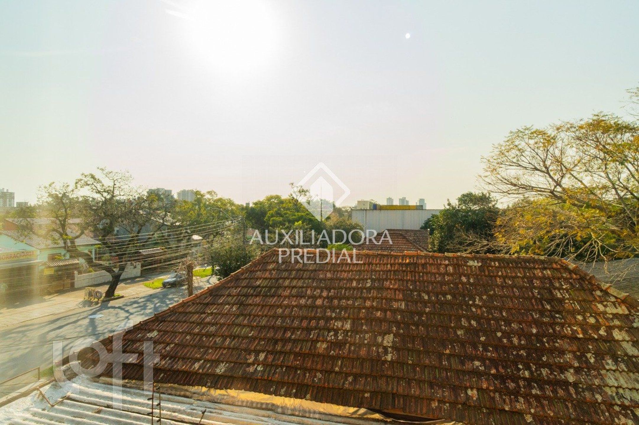 Imagem da propriedade 9