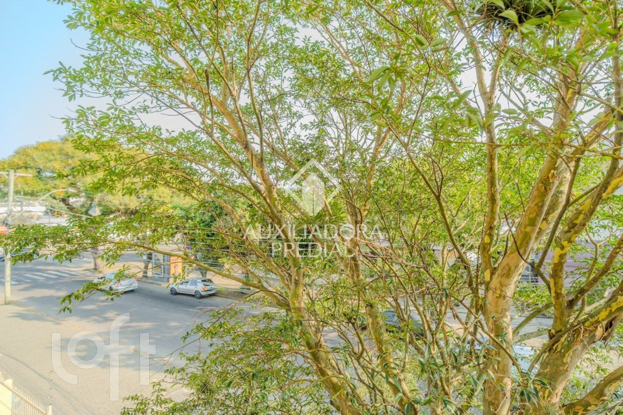 Imagem da propriedade 24