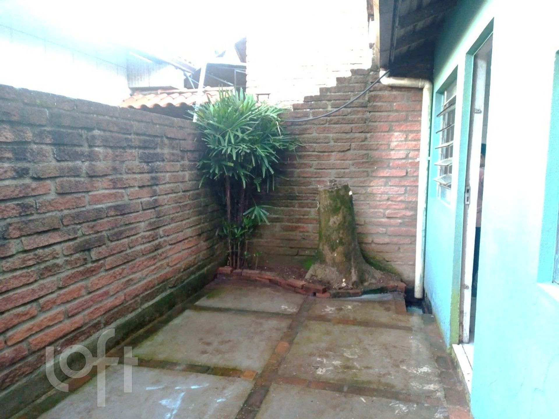 Imagem da propriedade 13