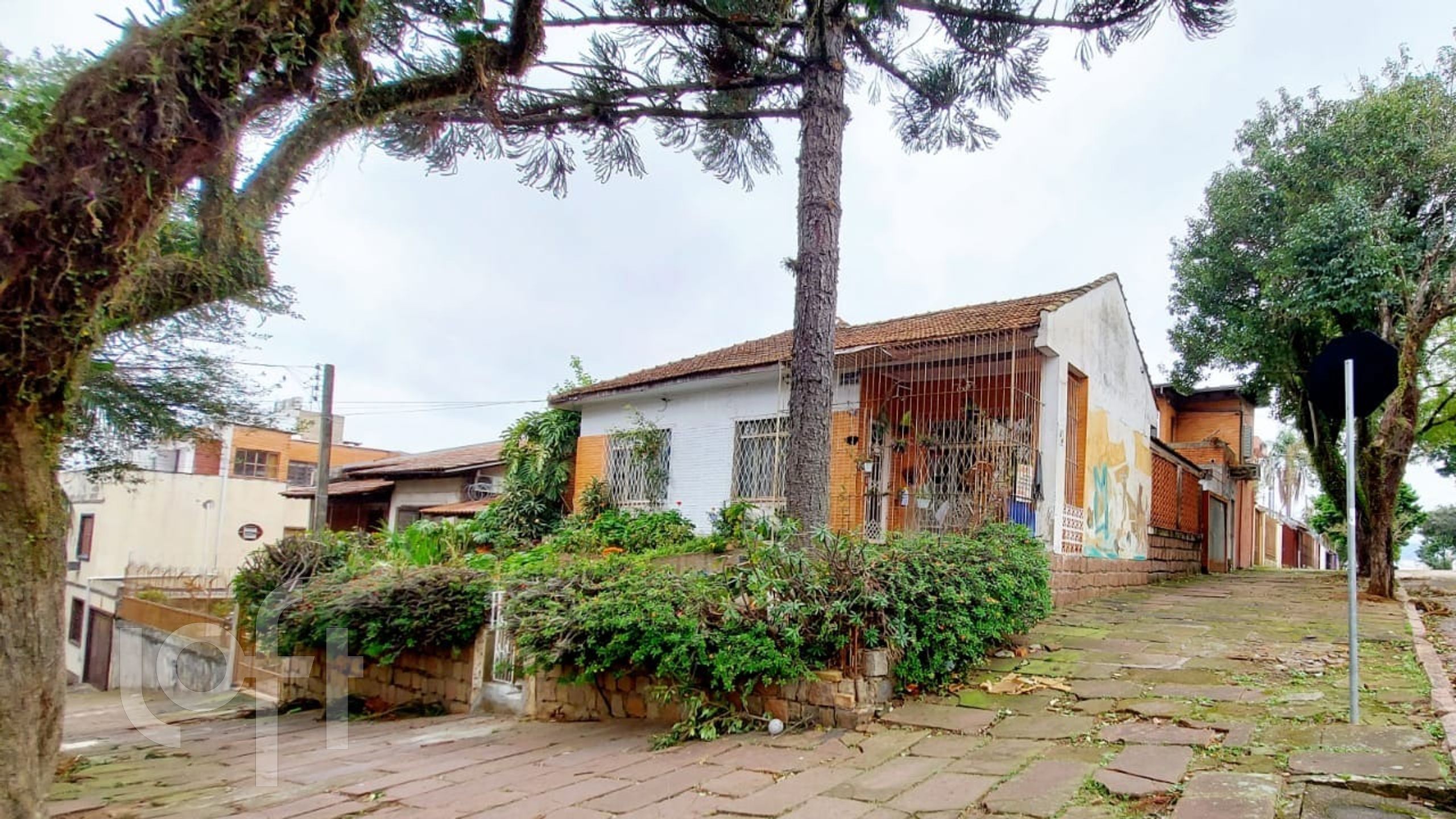 Imagem da propriedade 4