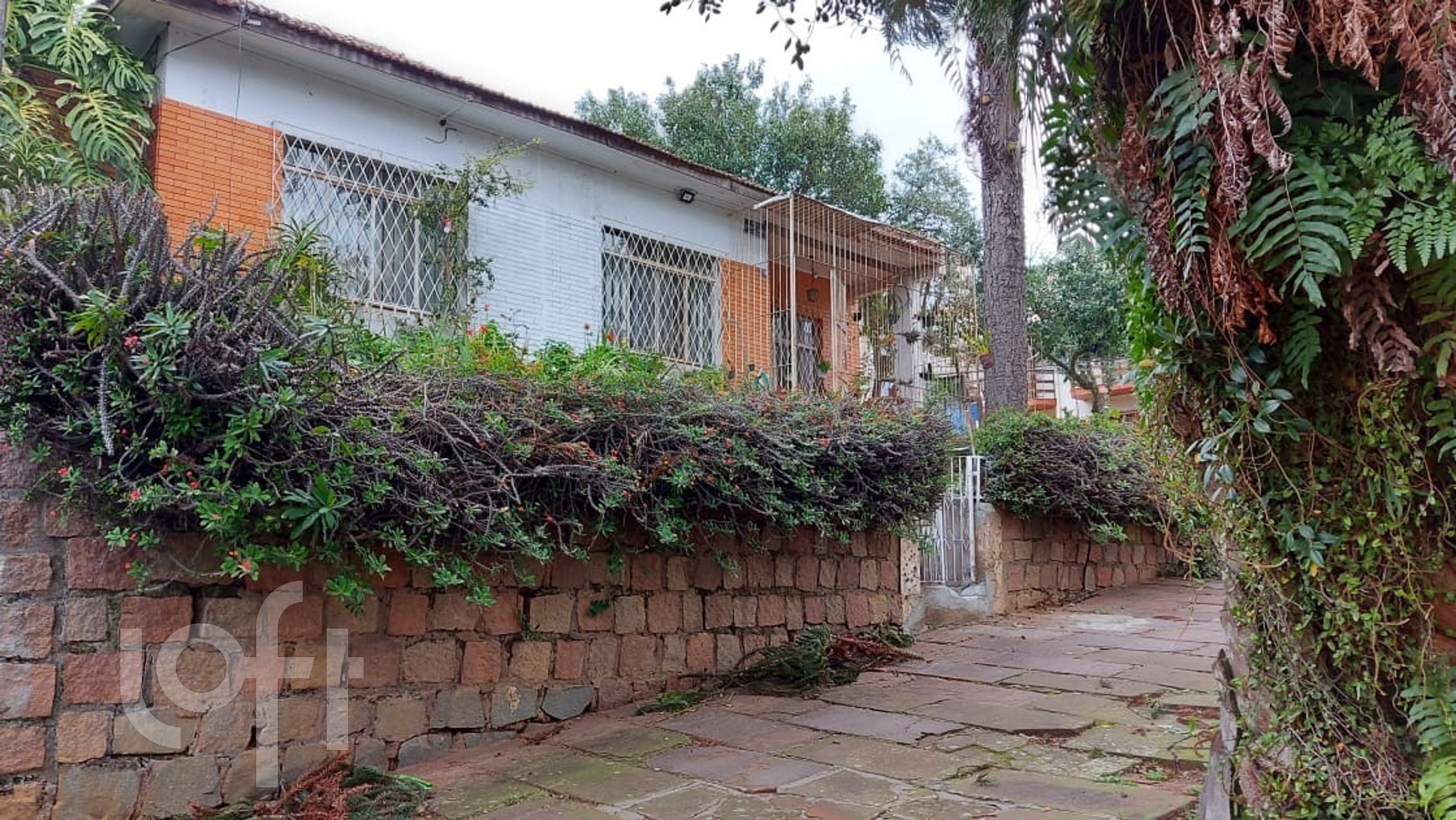 Imagem da propriedade 2