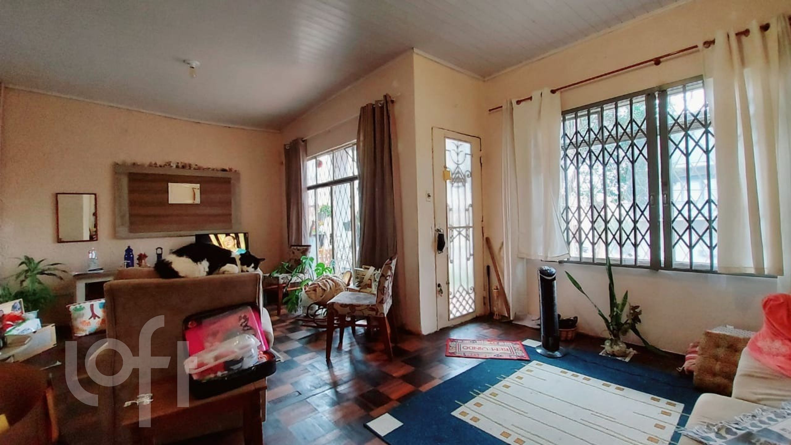 Imagem da propriedade 14