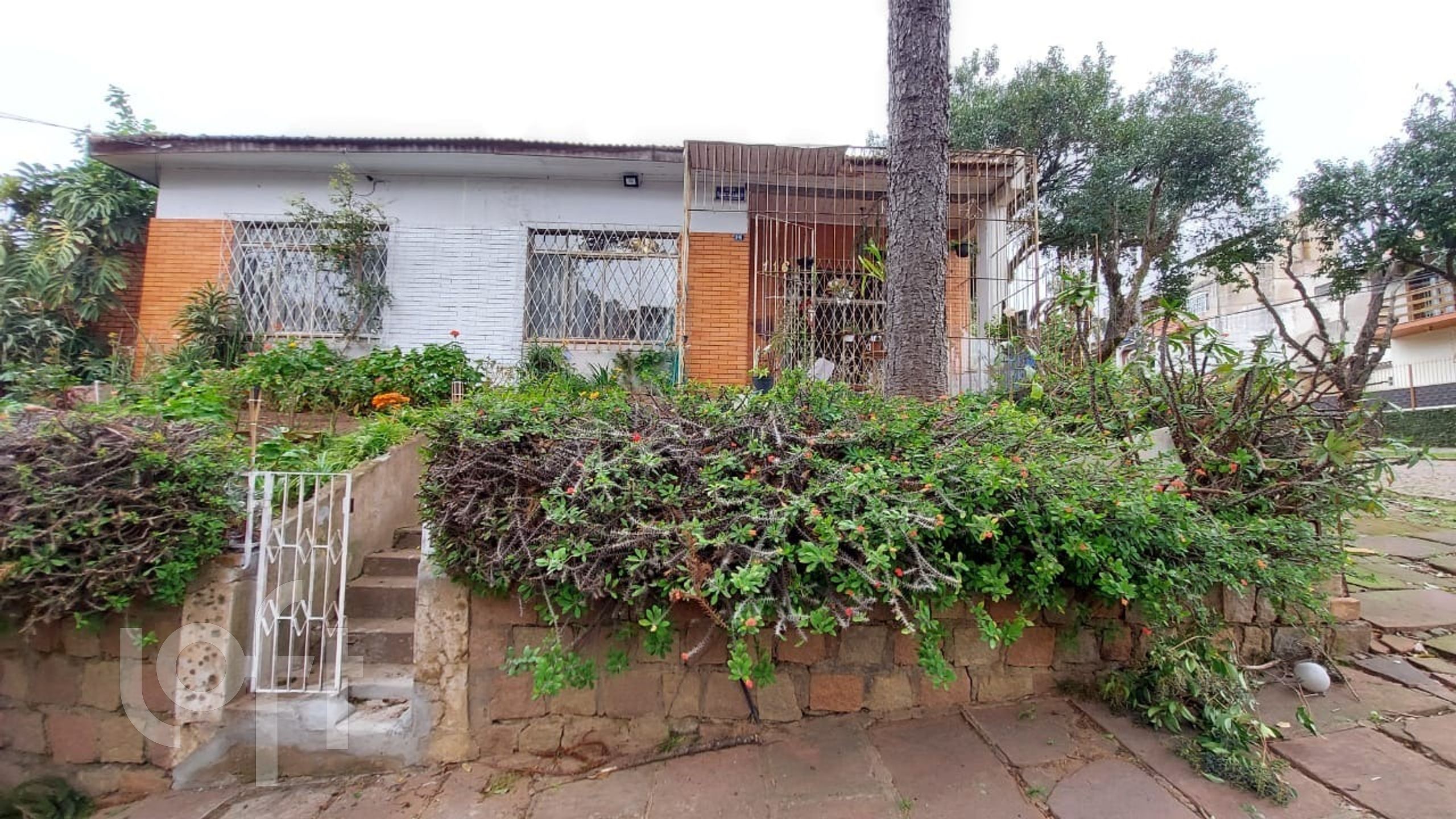 Imagem da propriedade 3