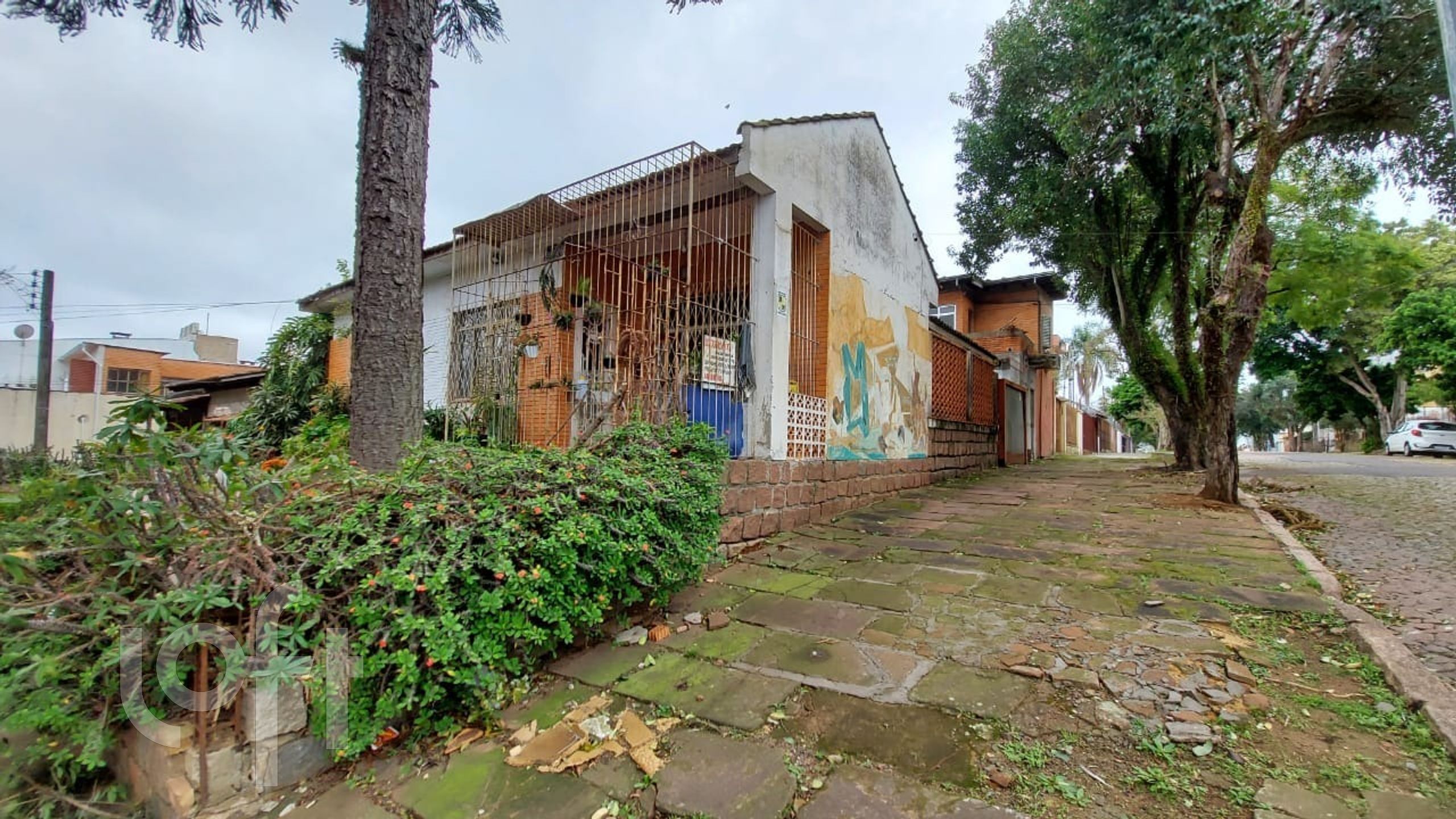 Imagem da propriedade 6